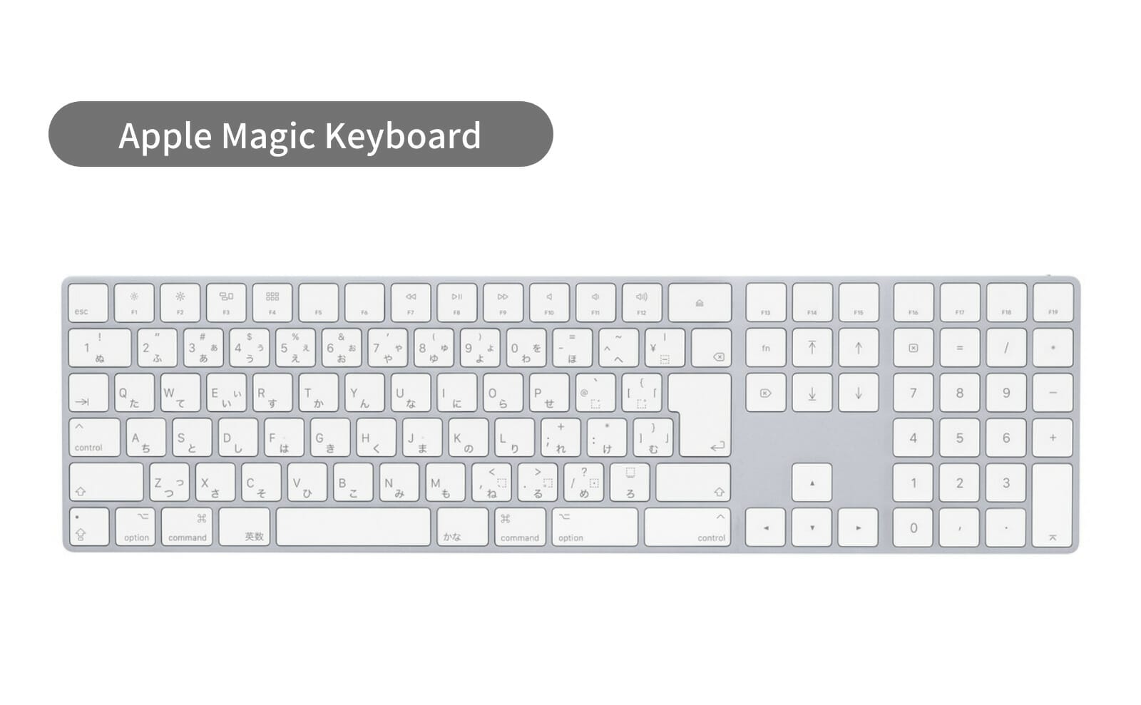 Apple Magic Keyboard(テンキー付き)｜MQ052J/A MQ052LL/A - GreenKeys 