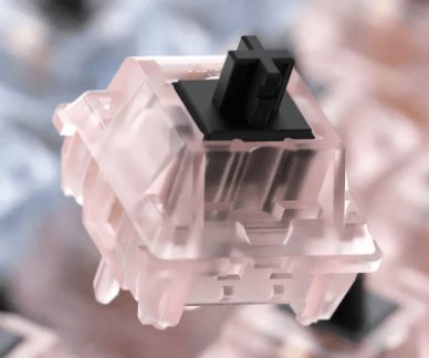 Review on NuPhy's new mechanical key switch, the Gateron Baby Raccoon! 10 Rose Gracier