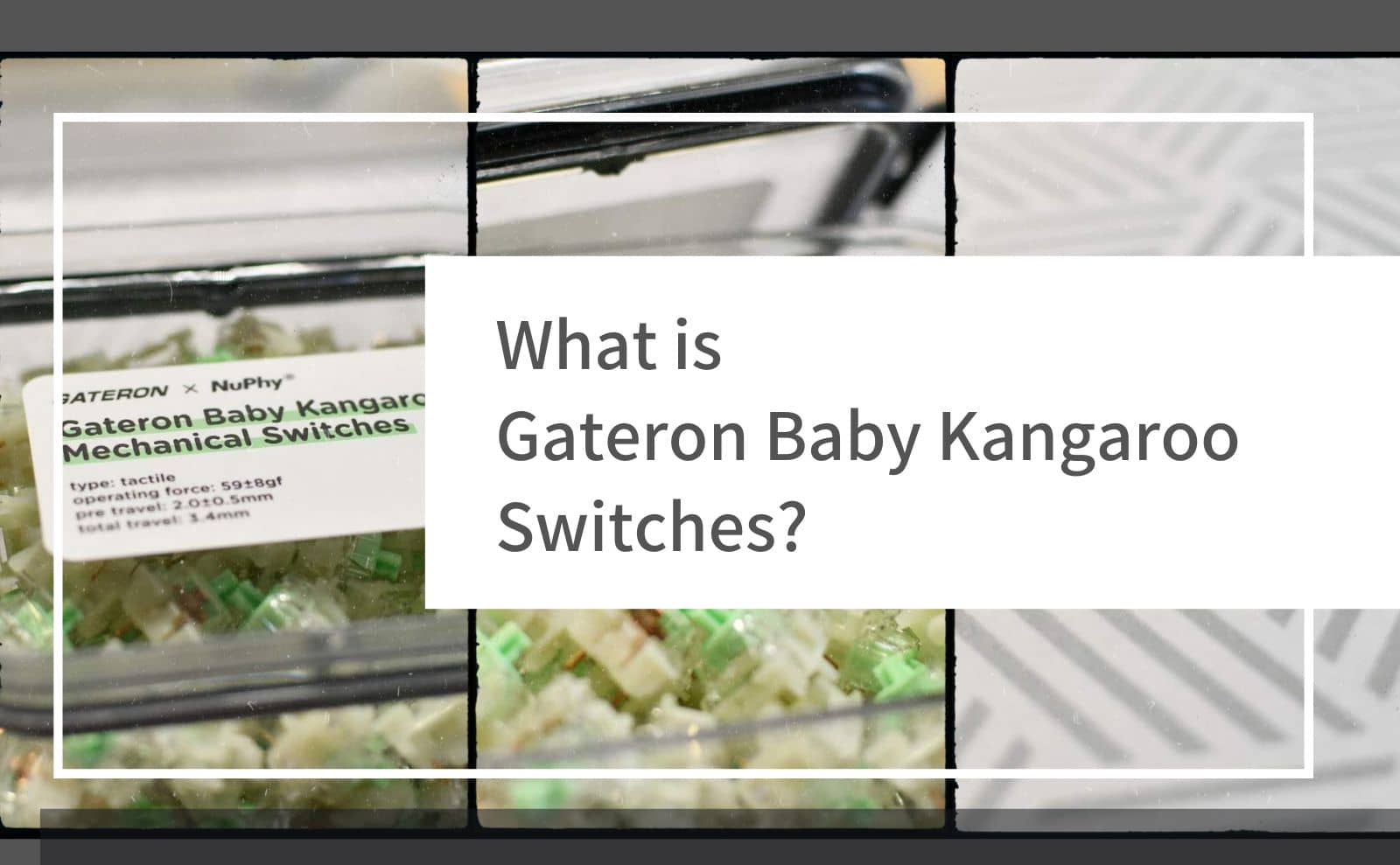 Gateron Baby Kangaroo and Baby Raccoon are now available at NuPhy.
