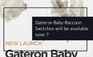 Gateron Baby Kangaroo Switchesレビュー!新感覚のタクタイルスイッチの魅力に迫る 4 BBR