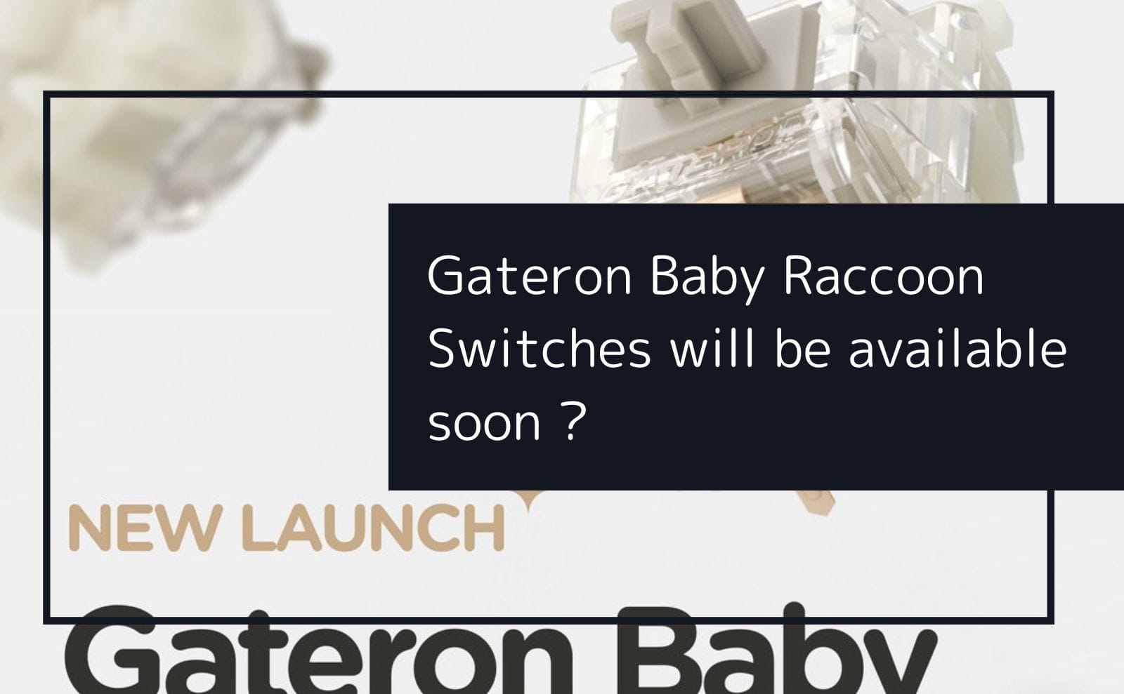 Gateron Baby Raccoon 68コ