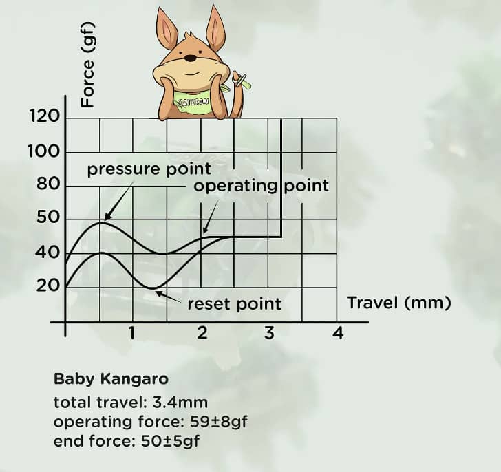 Review on NuPhy's new mechanical key switch, the Gateron Baby Raccoon! 16 Baby Kangaroo Diagram