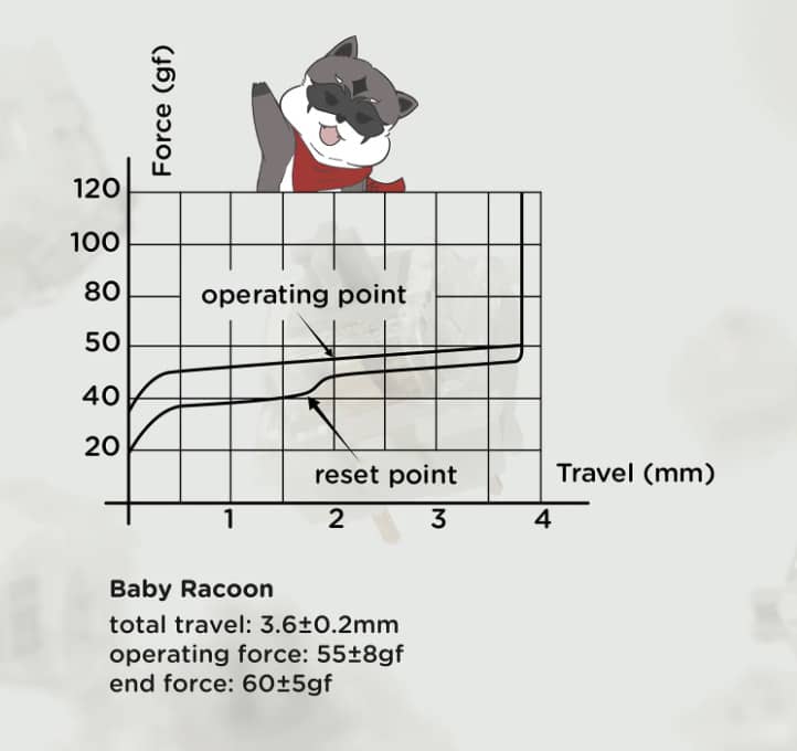 Review on NuPhy's new mechanical key switch, the Gateron Baby Raccoon! 6 Baby Raccoon Diagram
