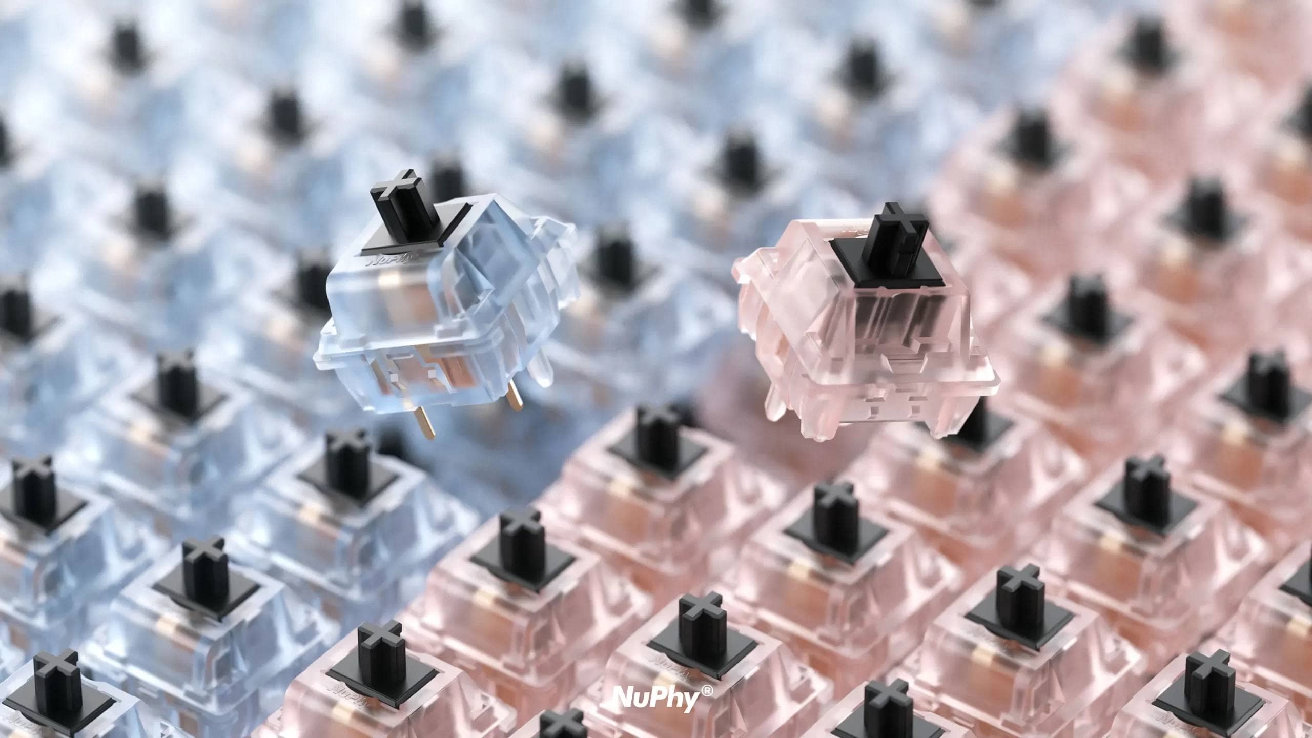 Halo96 official2 scaled