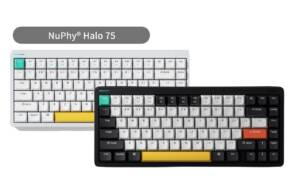 キーボード Nuphy Halo 75 baby kangaroo Gateron Baby Kangaroo Switches Review! A Look at the New Tactile