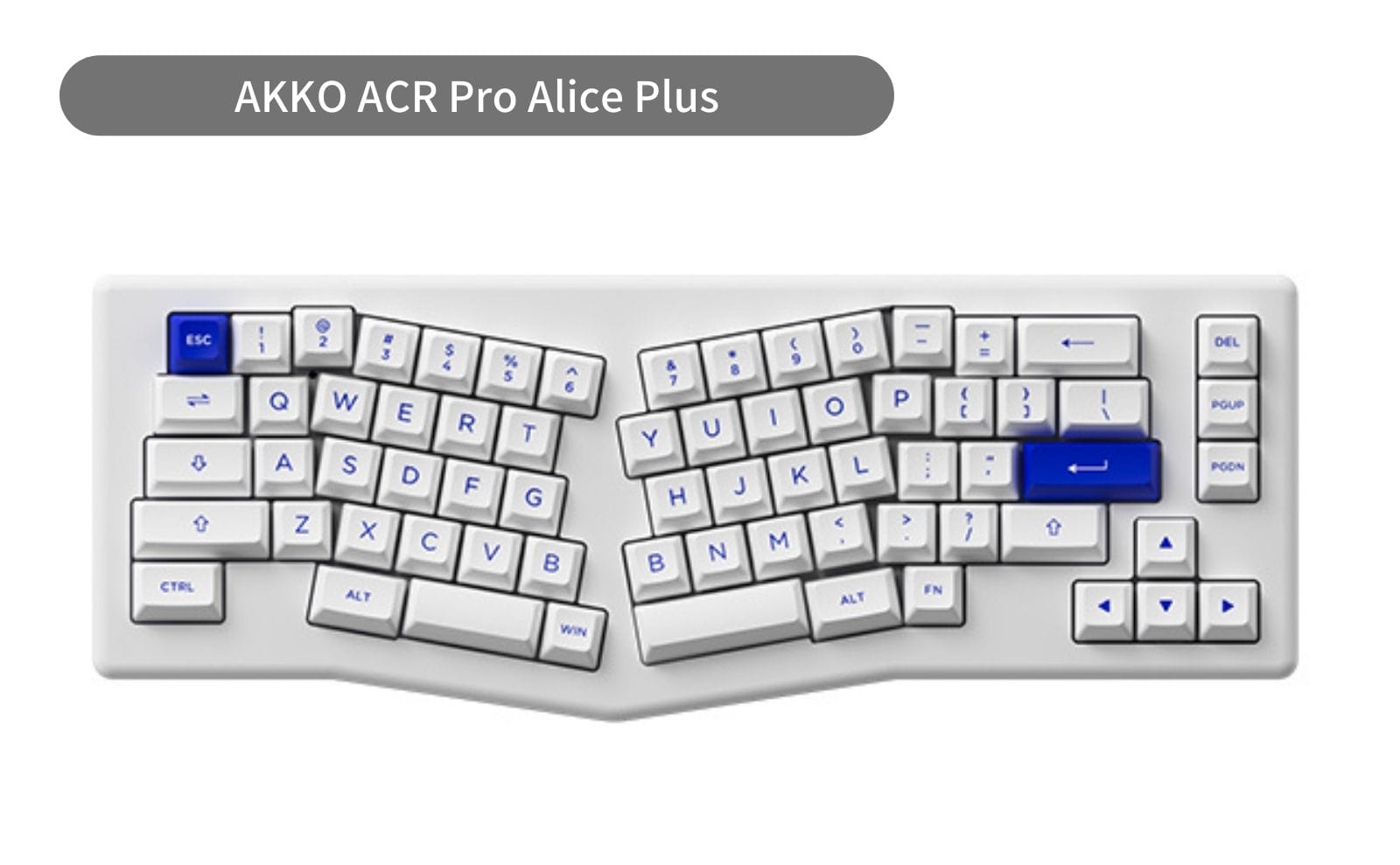 AKKO ACR Pro Alice Plus - GreenKeys(グリーンキーズ)