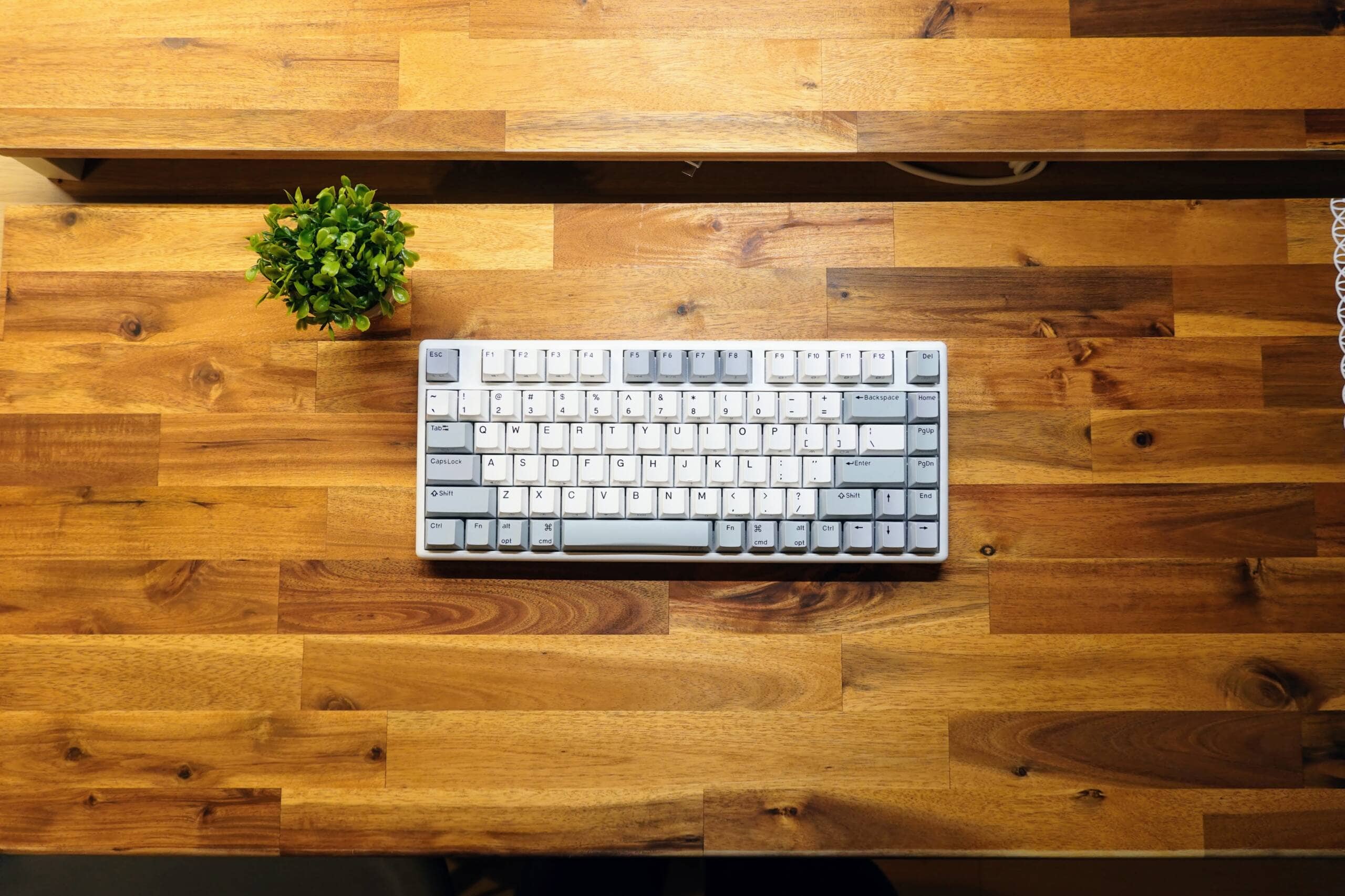 Mode Design Envoy 60 scaled