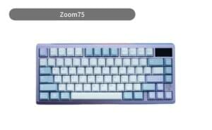 Zoom75-300x185.jpg?strip=all&