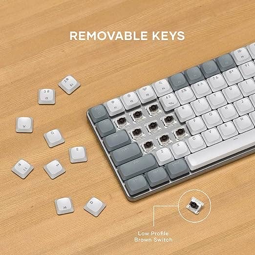 91cTBXPR9LL. AC SX522