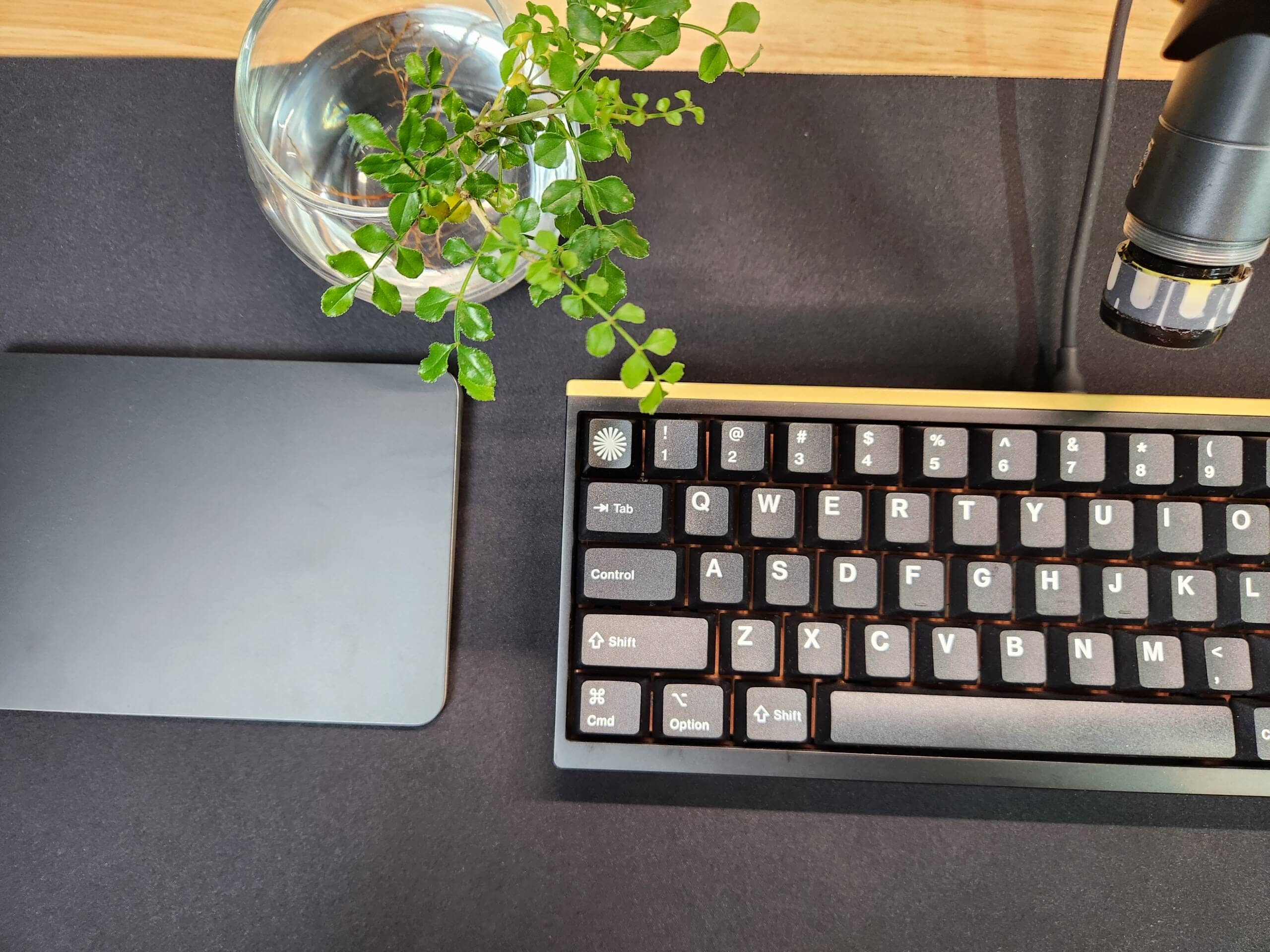 Mode SixtyFive 29 scaled