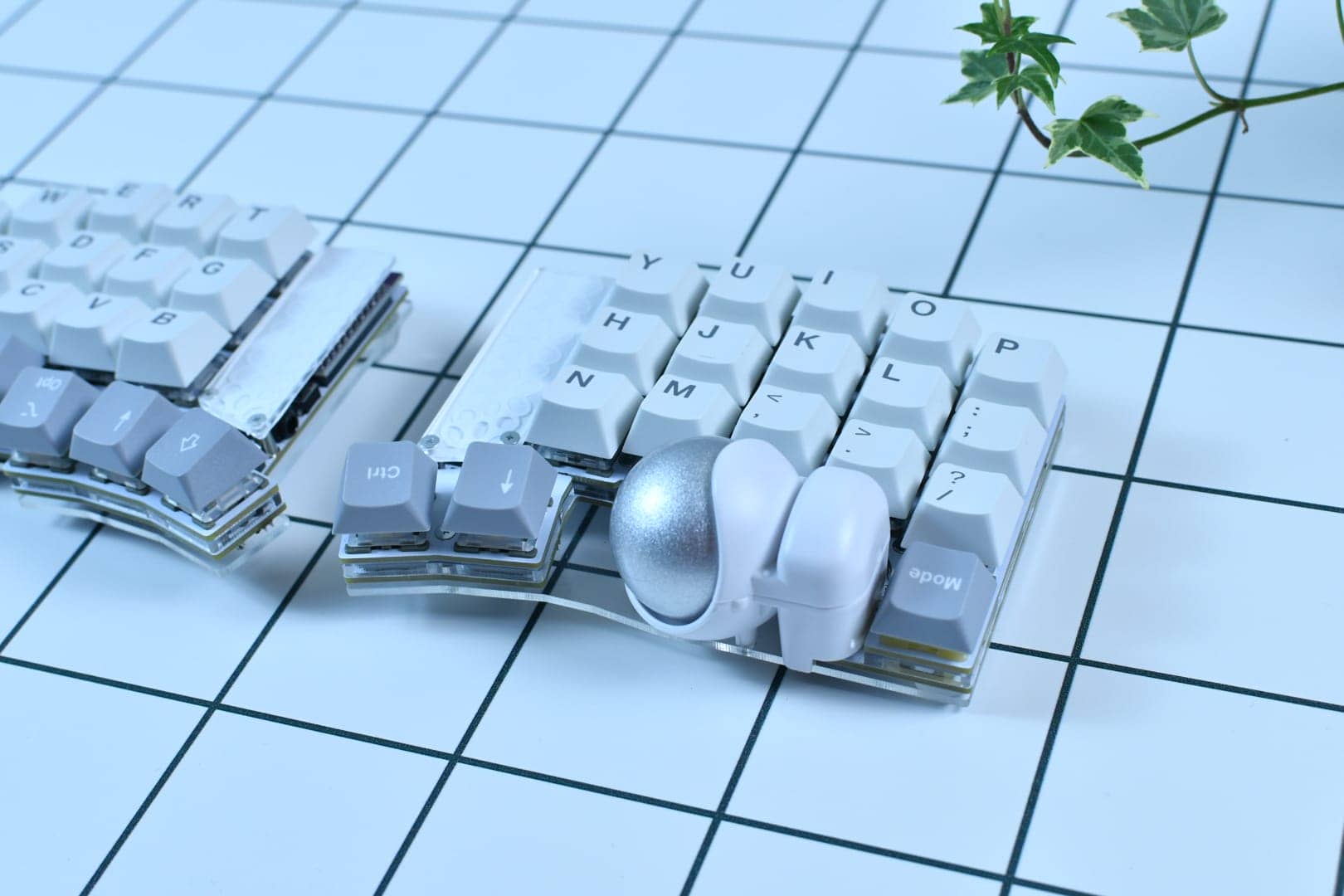 Post featuring ErgoArrows Pro draws response 6 DSC 1153