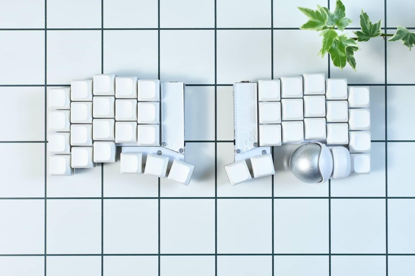 PBS Profile キーキャップレビュー|CannonkeysとKeyreativeが手掛ける珠玉のキーキャップ 43 DSC 1841