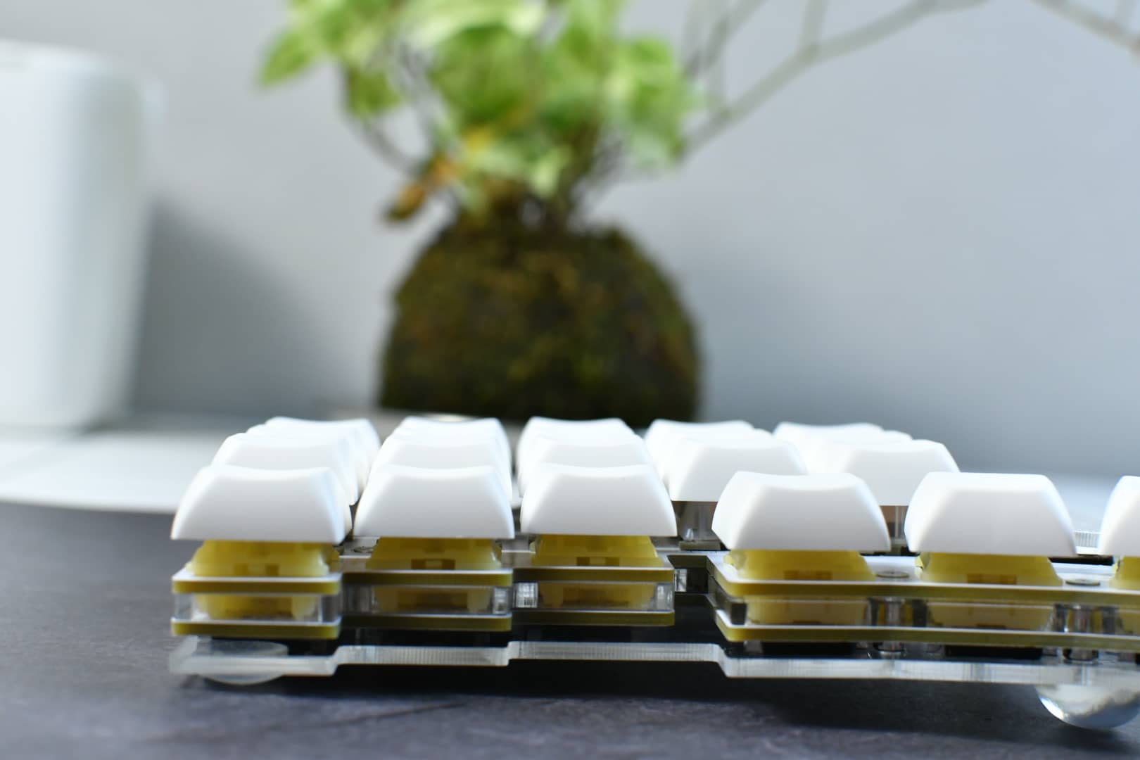 PBS Profile キーキャップレビュー|CannonkeysとKeyreativeが手掛ける珠玉のキーキャップ 48 DSC 1848