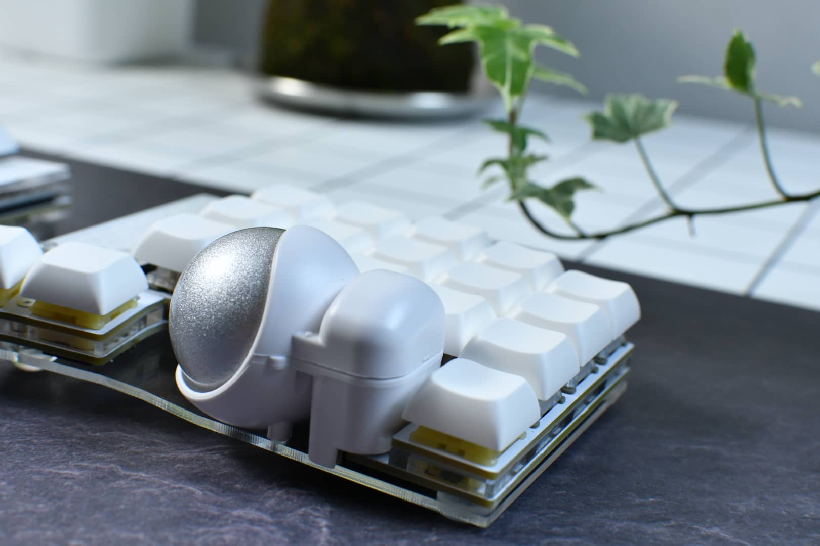 PBS Profile キーキャップレビュー|CannonkeysとKeyreativeが手掛ける珠玉のキーキャップ 49 DSC 1849