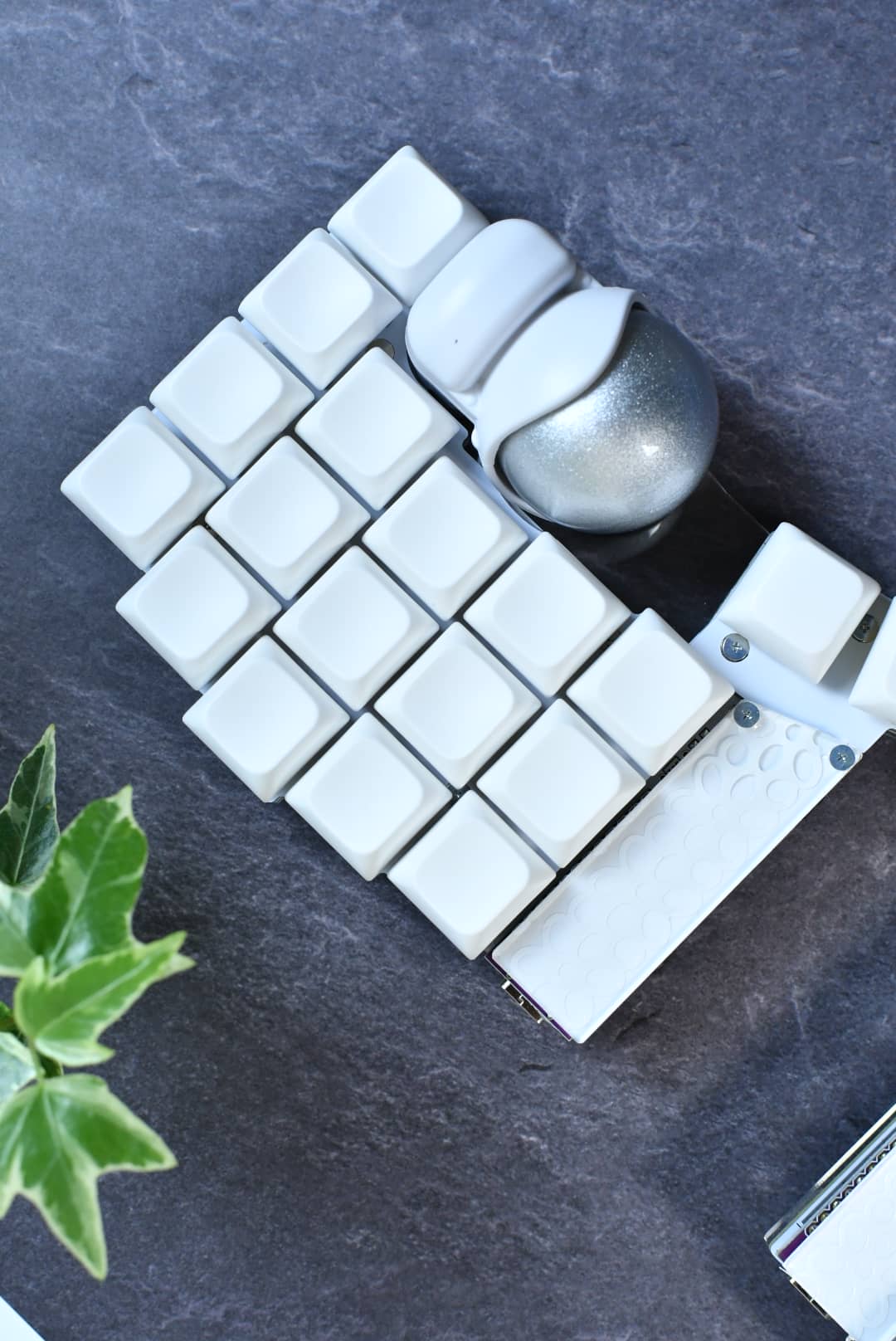 PBS Profile キーキャップレビュー|CannonkeysとKeyreativeが手掛ける珠玉のキーキャップ 50 DSC 1850