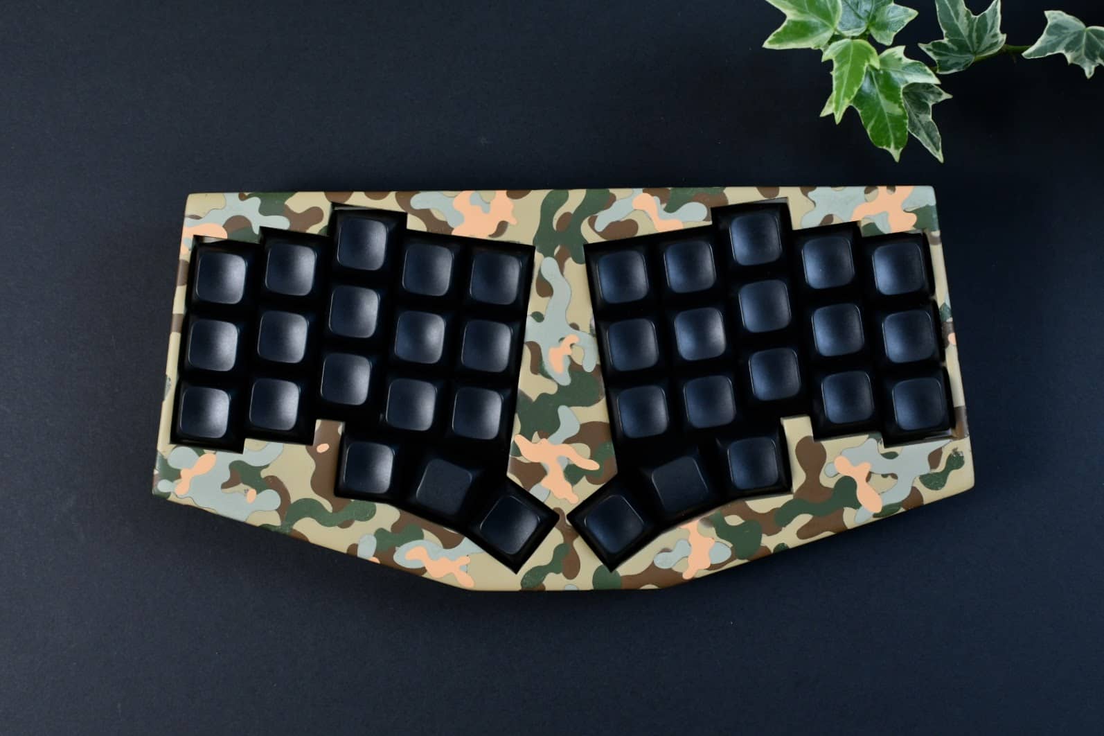 PBS Profile キーキャップレビュー|CannonkeysとKeyreativeが手掛ける珠玉のキーキャップ 31 DSC 1869