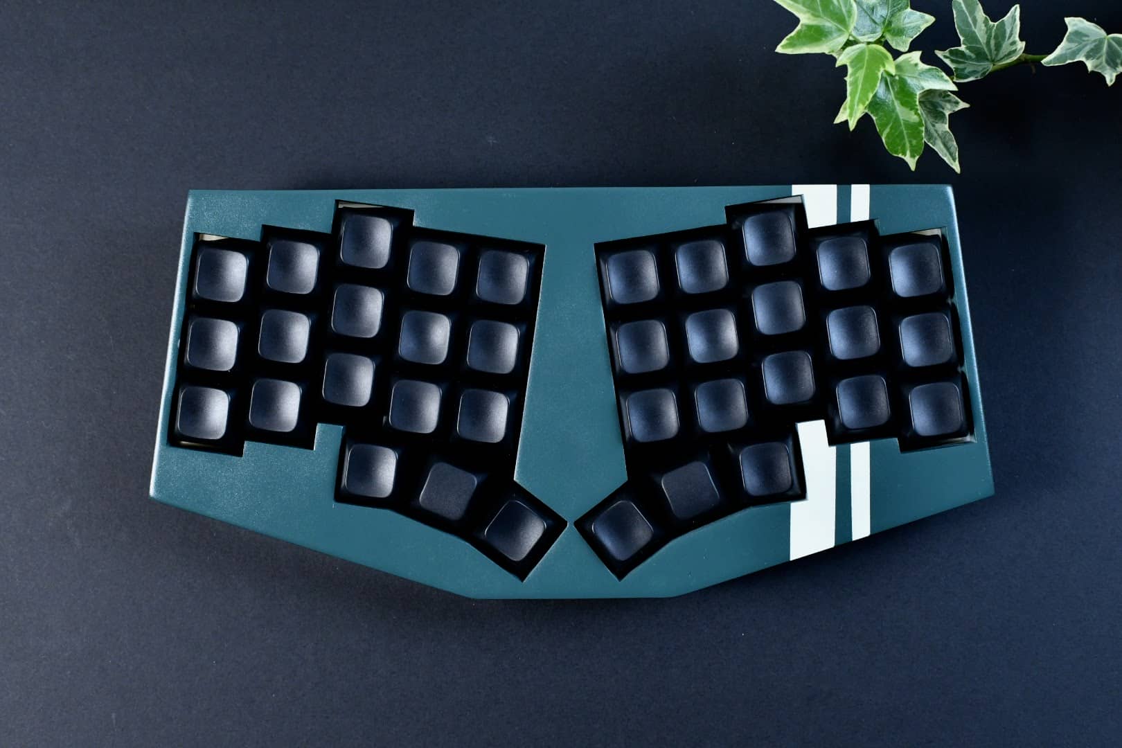 PBS Profile キーキャップレビュー|CannonkeysとKeyreativeが手掛ける珠玉のキーキャップ 36 DSC 1870