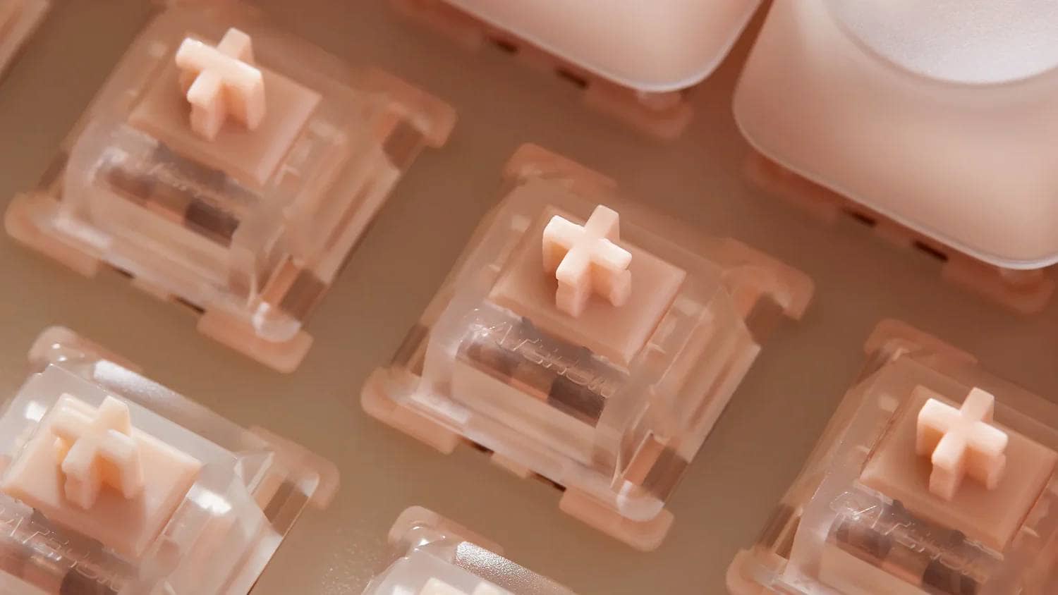 Lofree Japanから新たに4種類の新製品が登場|大人気Dotシリーズの後継機種も 6 Foundation switch hero02 1