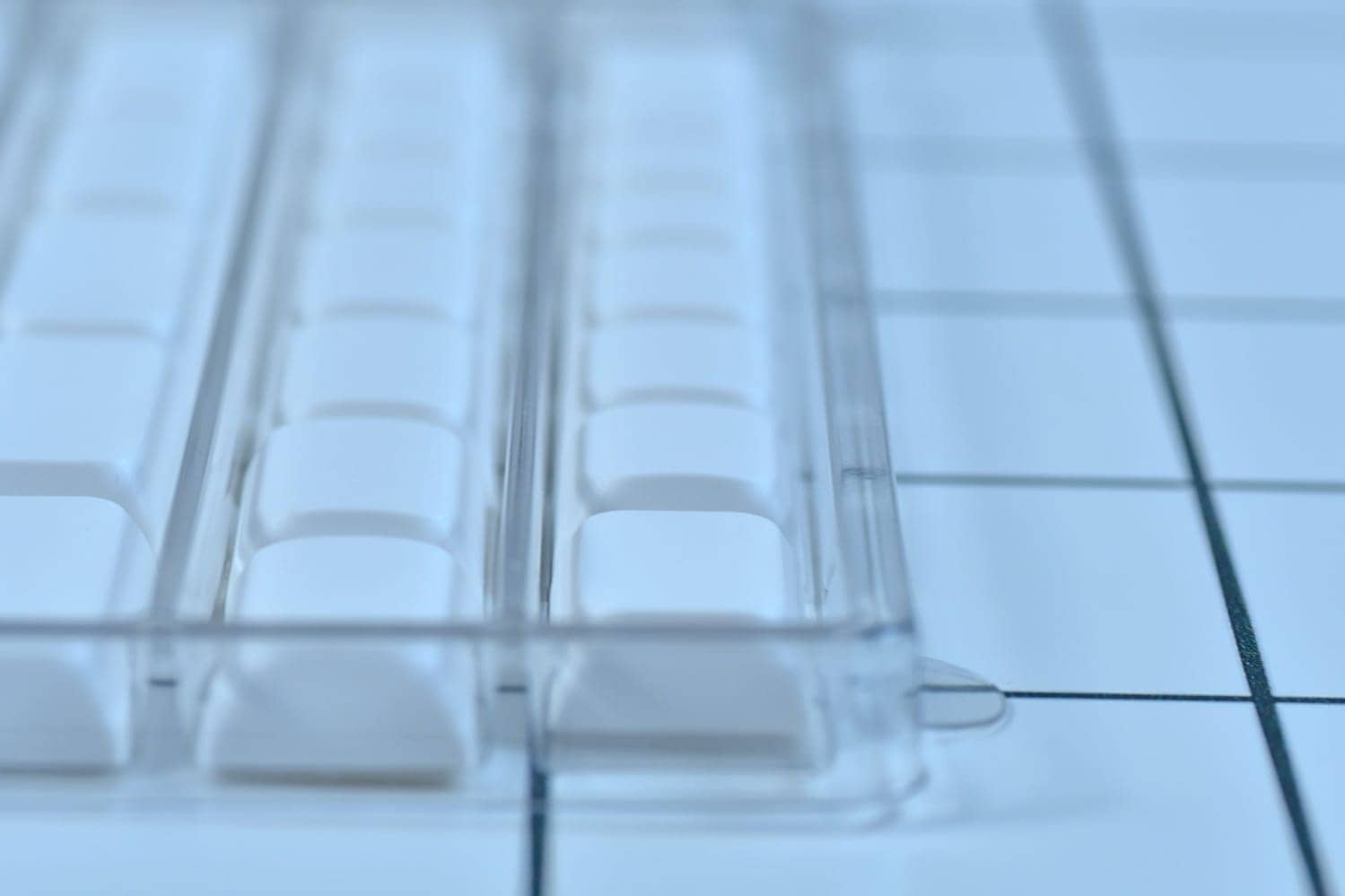 PBS Profile キーキャップレビュー|CannonkeysとKeyreativeが手掛ける珠玉のキーキャップ 25 photo 041