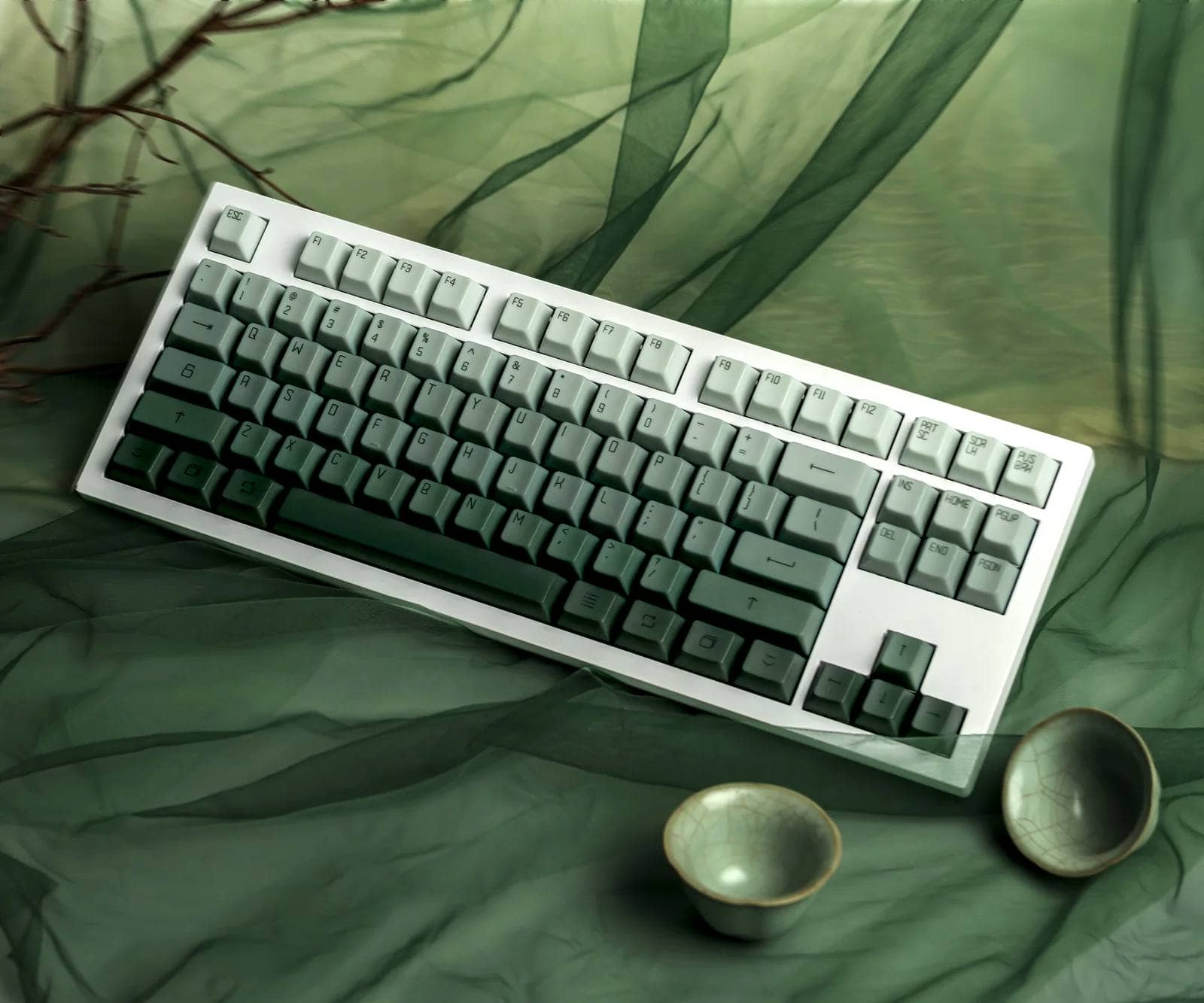 cherry evergreen 4 c85c044e df4d 4365 a776 a54bf19adcb2