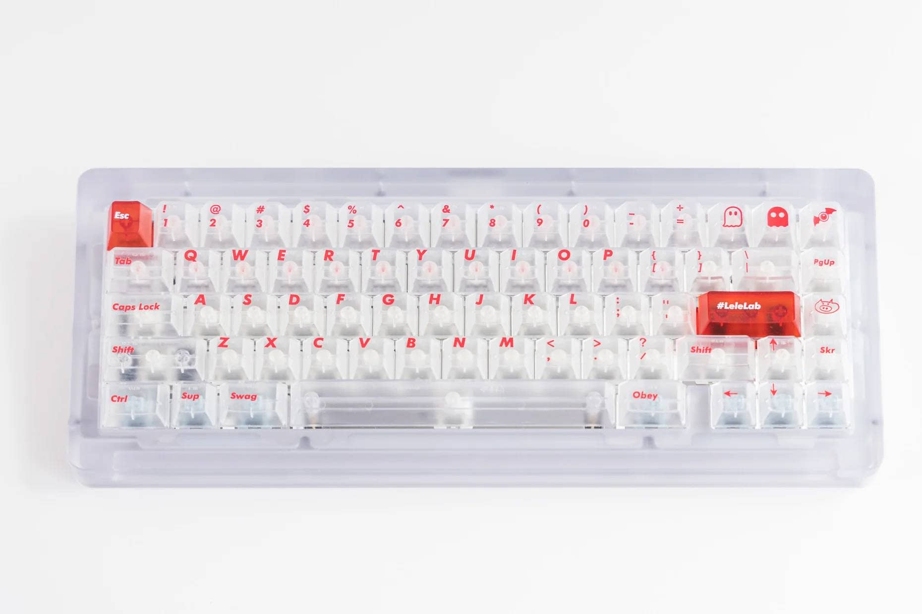 NR8AVjViQ1FBM09UazJNVFl5TVRITks3bGljQ29tSXchIQUAcXVuZ3o