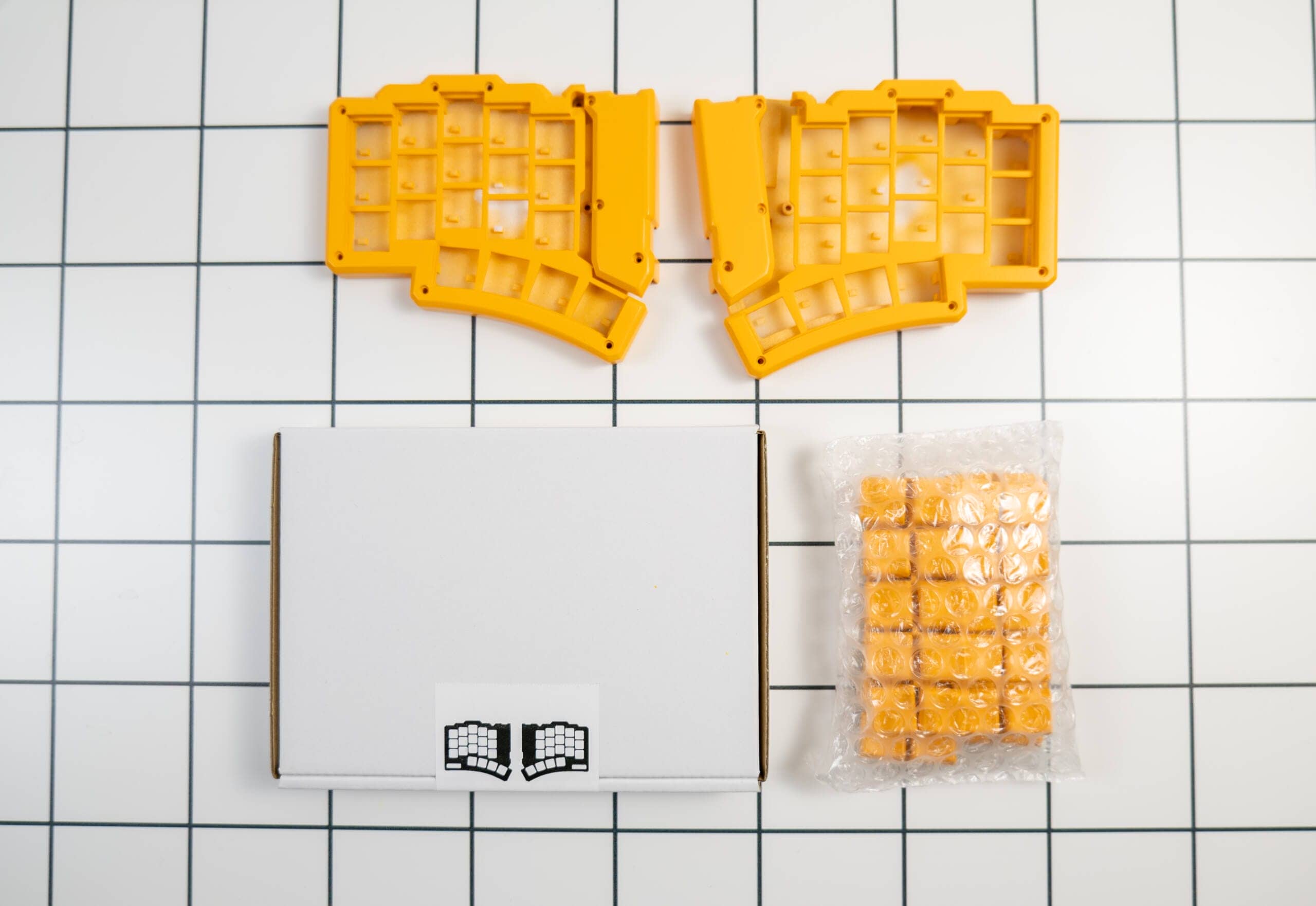 20250201 SDIM0542 scaled