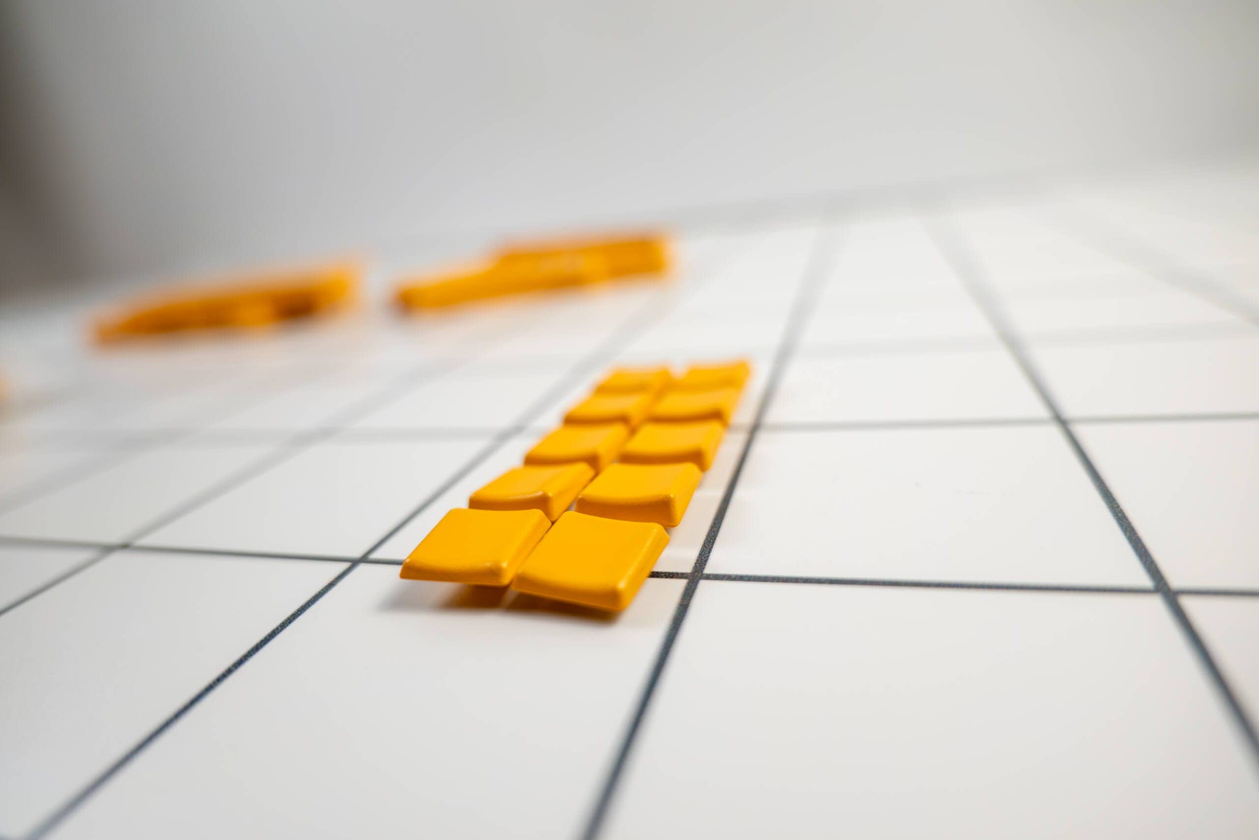 20250201 SDIM0547 scaled