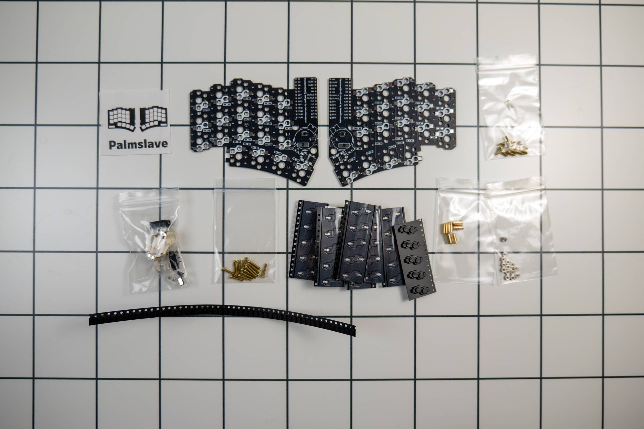 20250201 SDIM0551 scaled