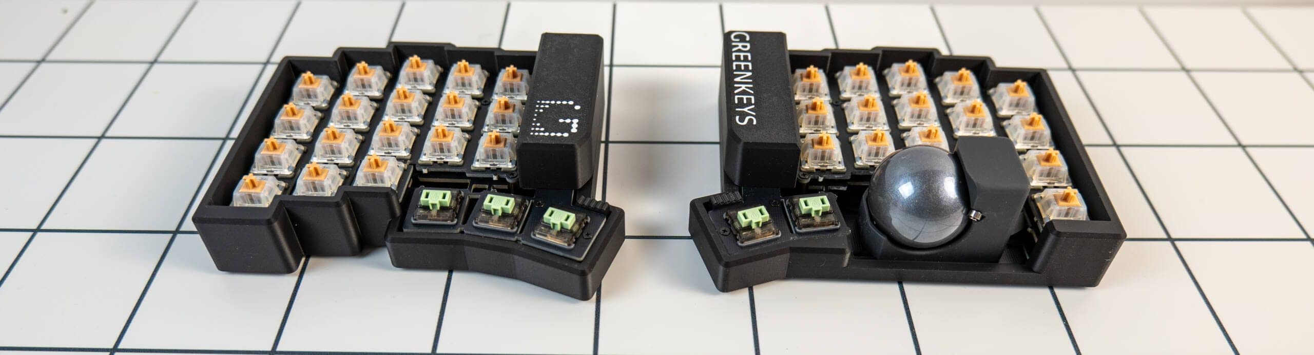 20250202 SDIM0570 scaled