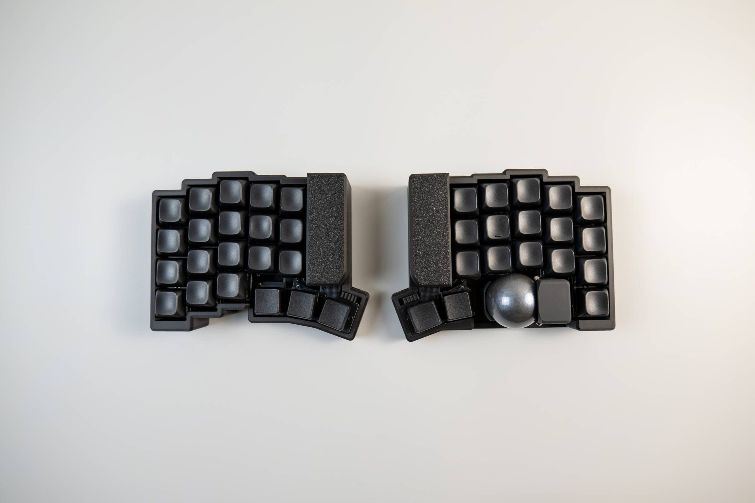 20250203 SDIM0572 scaled