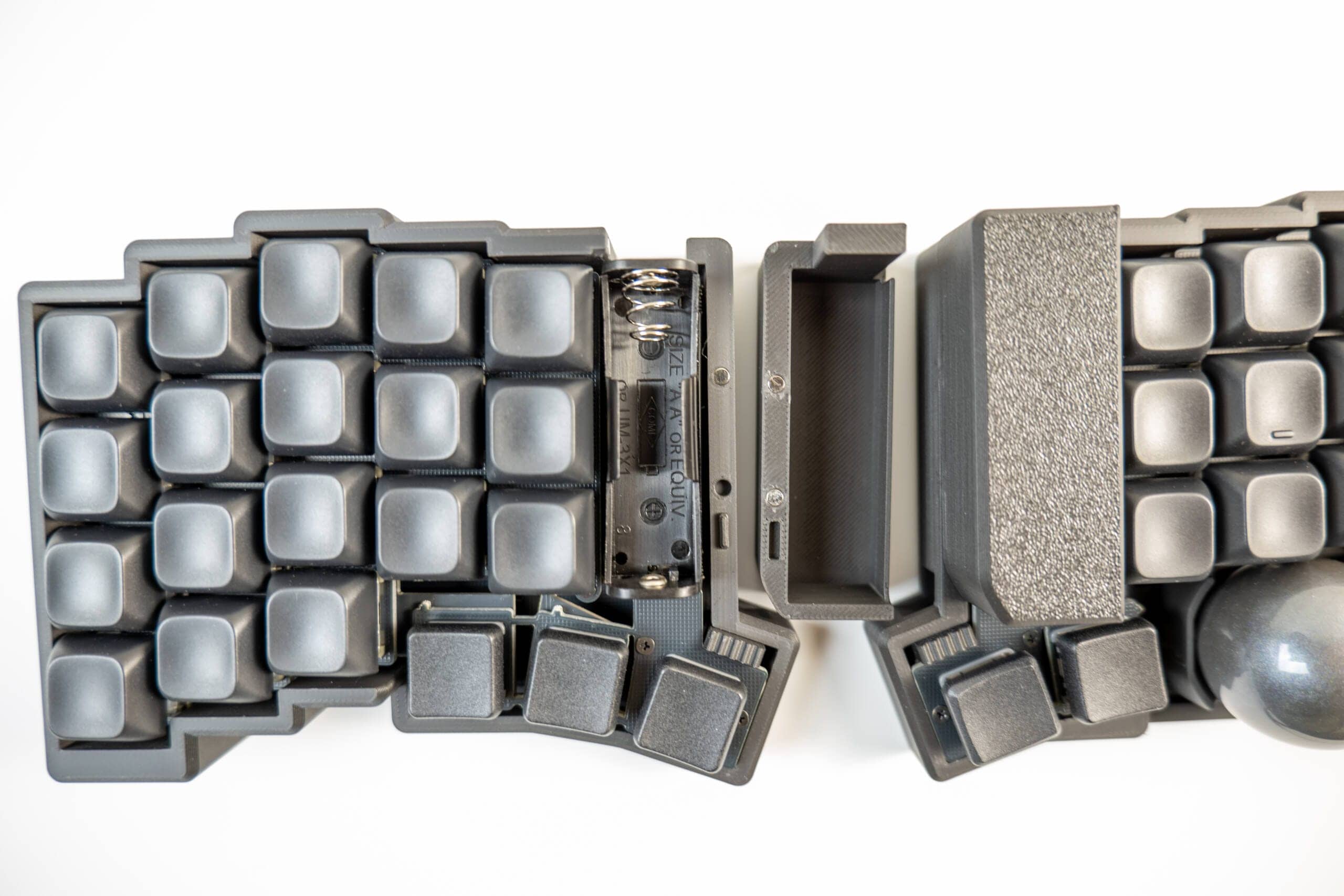 20250203 SDIM0574 scaled