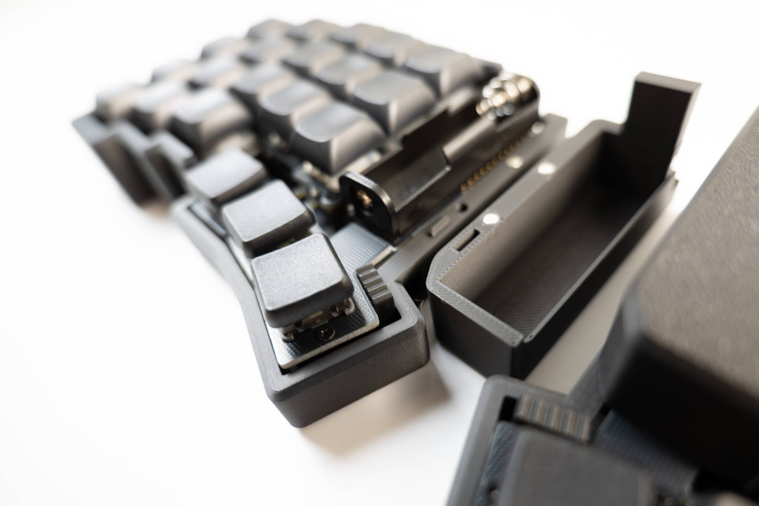 20250203 SDIM0575 scaled