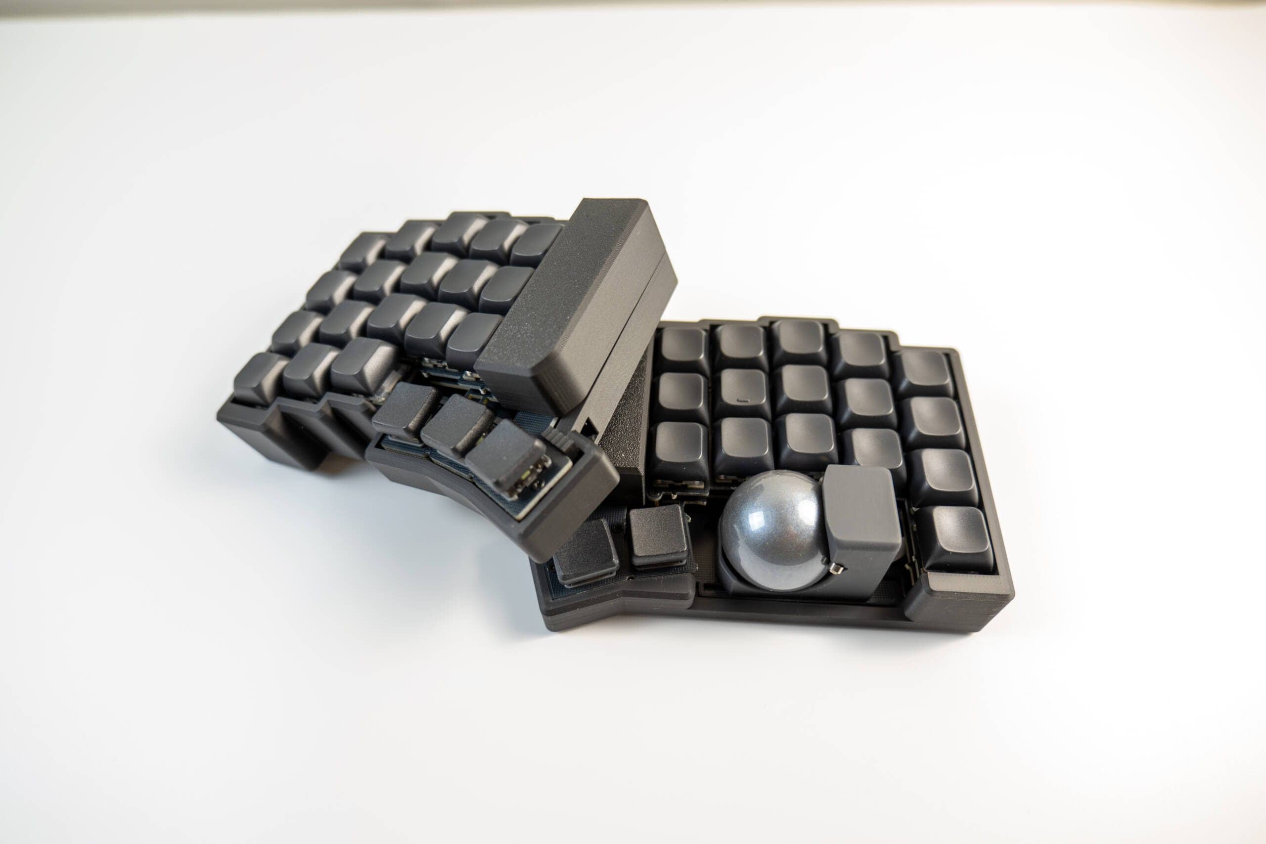 20250203 SDIM0578 scaled