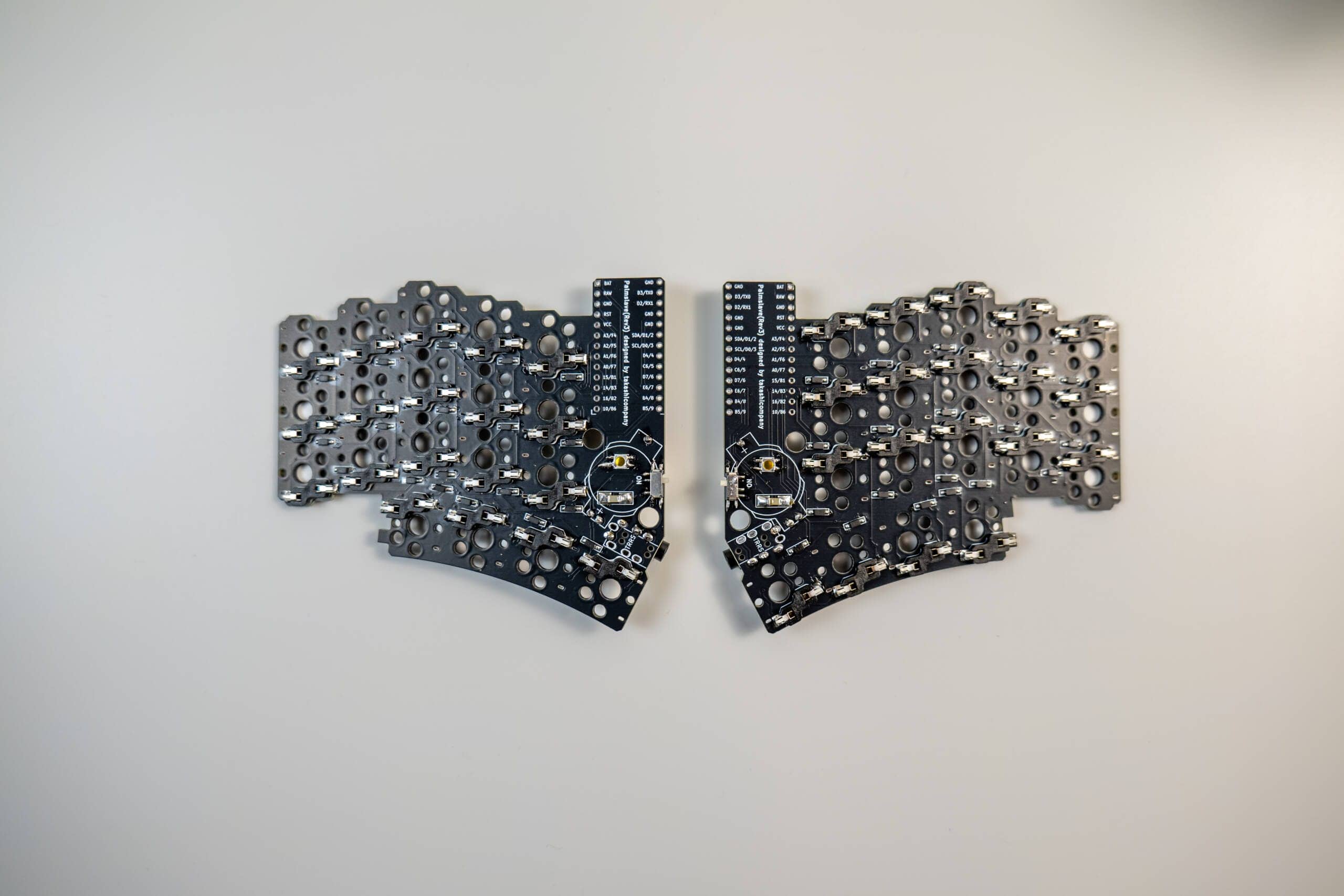 20250203 SDIM0580 scaled