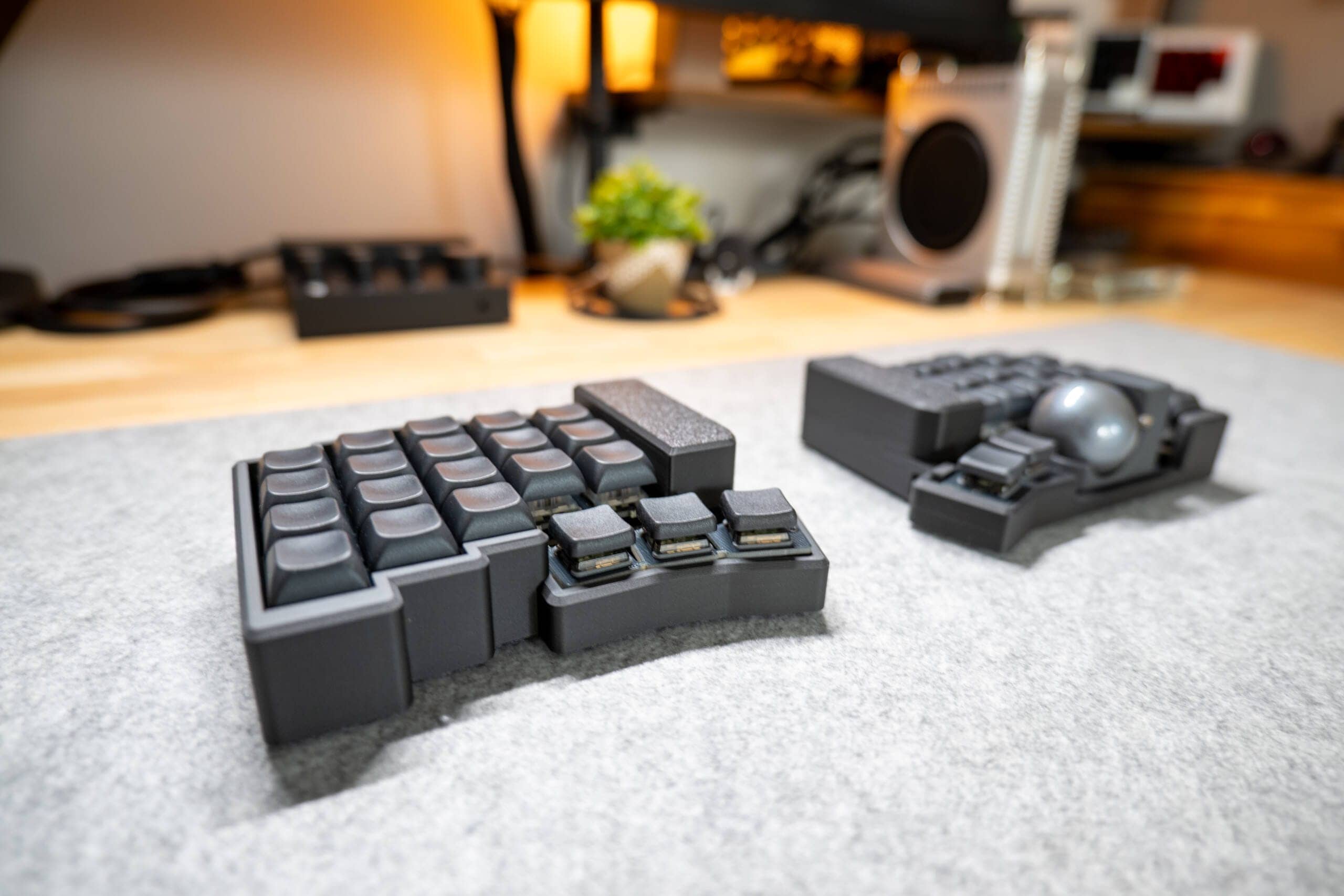 20250203 SDIM0592 scaled