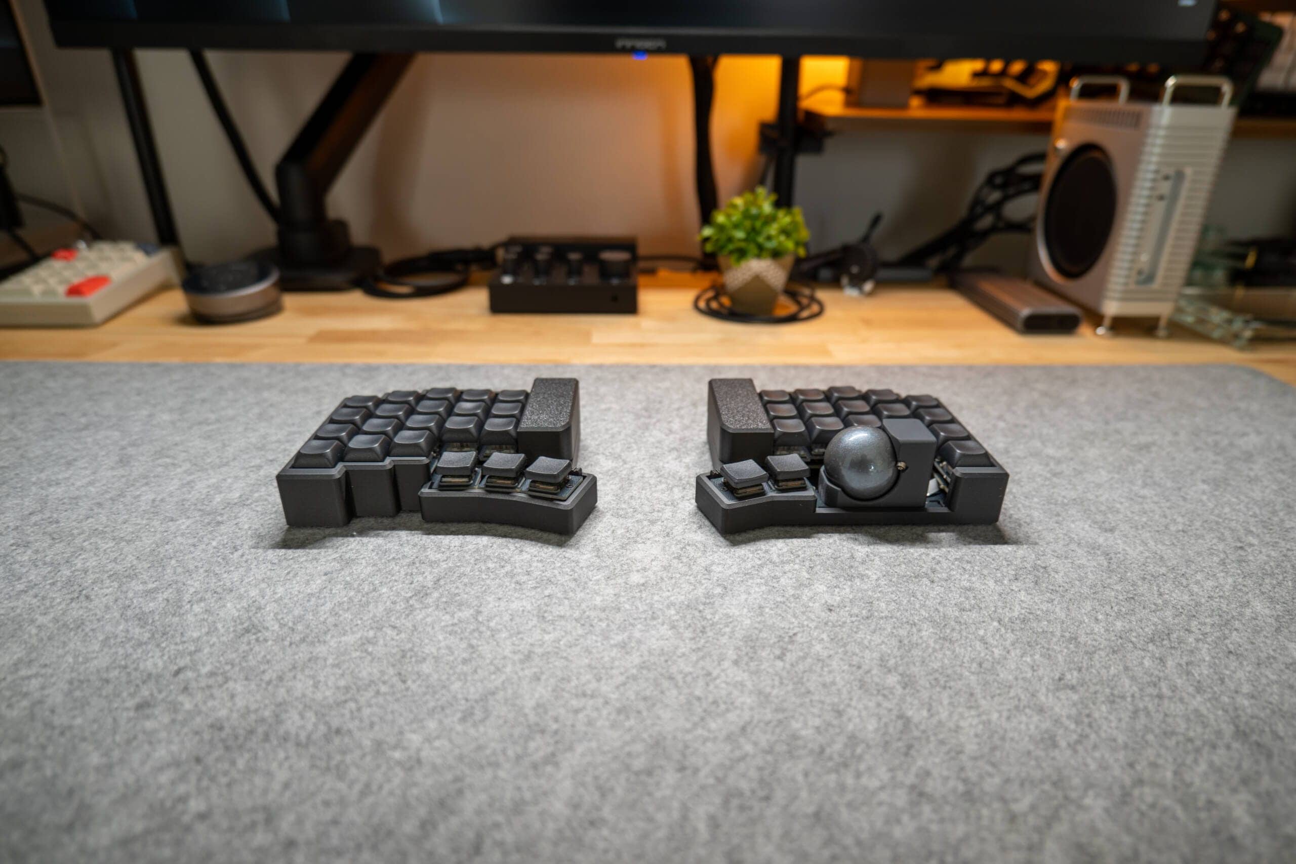 20250203 SDIM0594 scaled