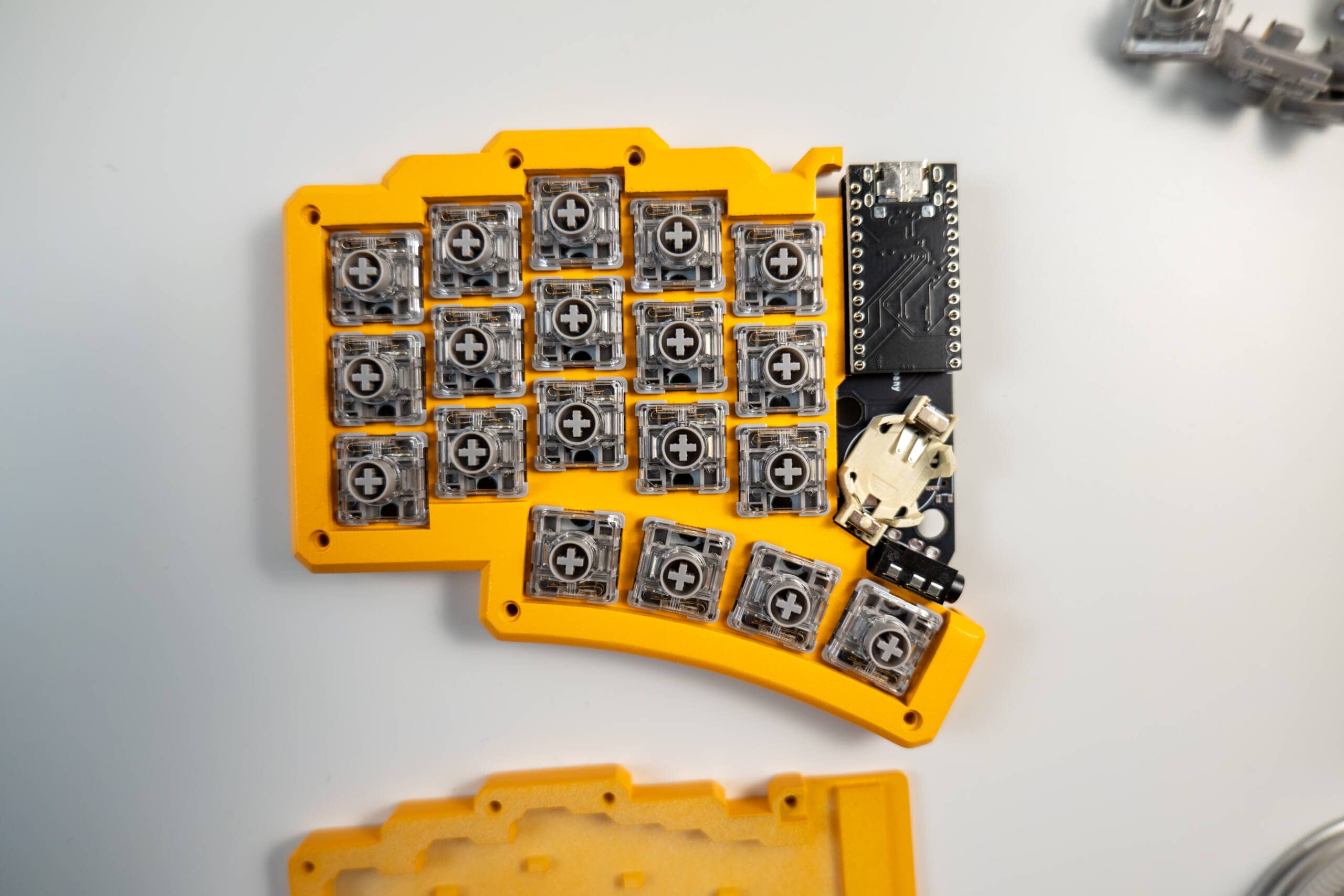 20250203 SDIM0599 scaled