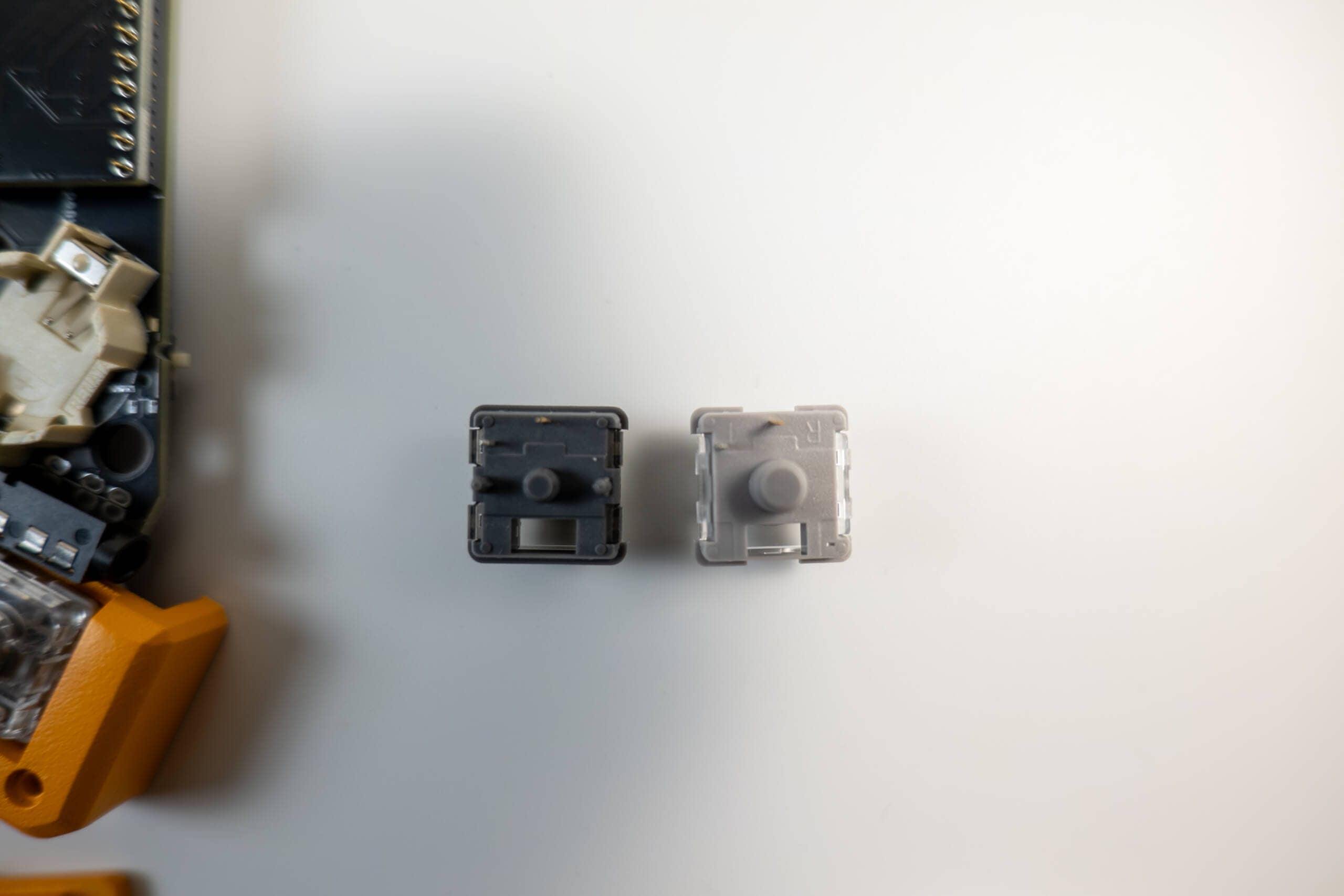 20250203 SDIM0600 scaled