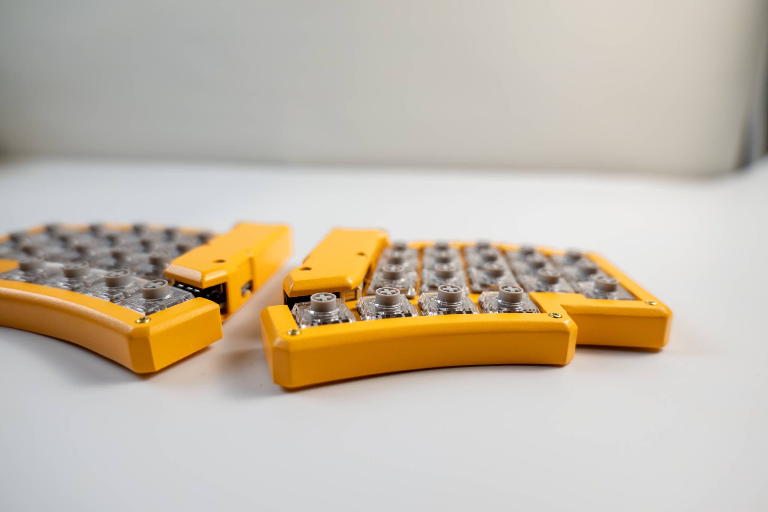 20250203 SDIM0603 scaled