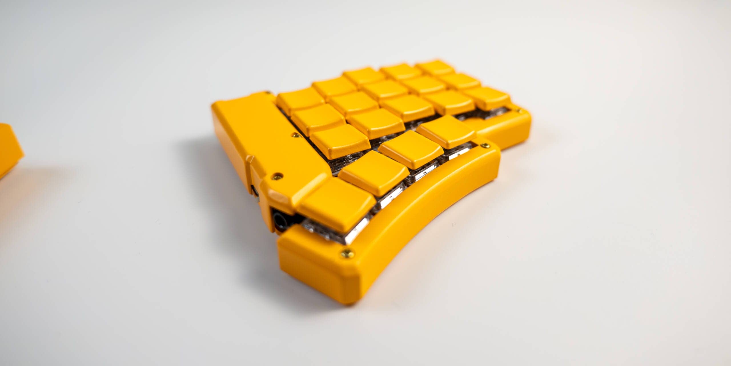 20250203 SDIM0607 scaled