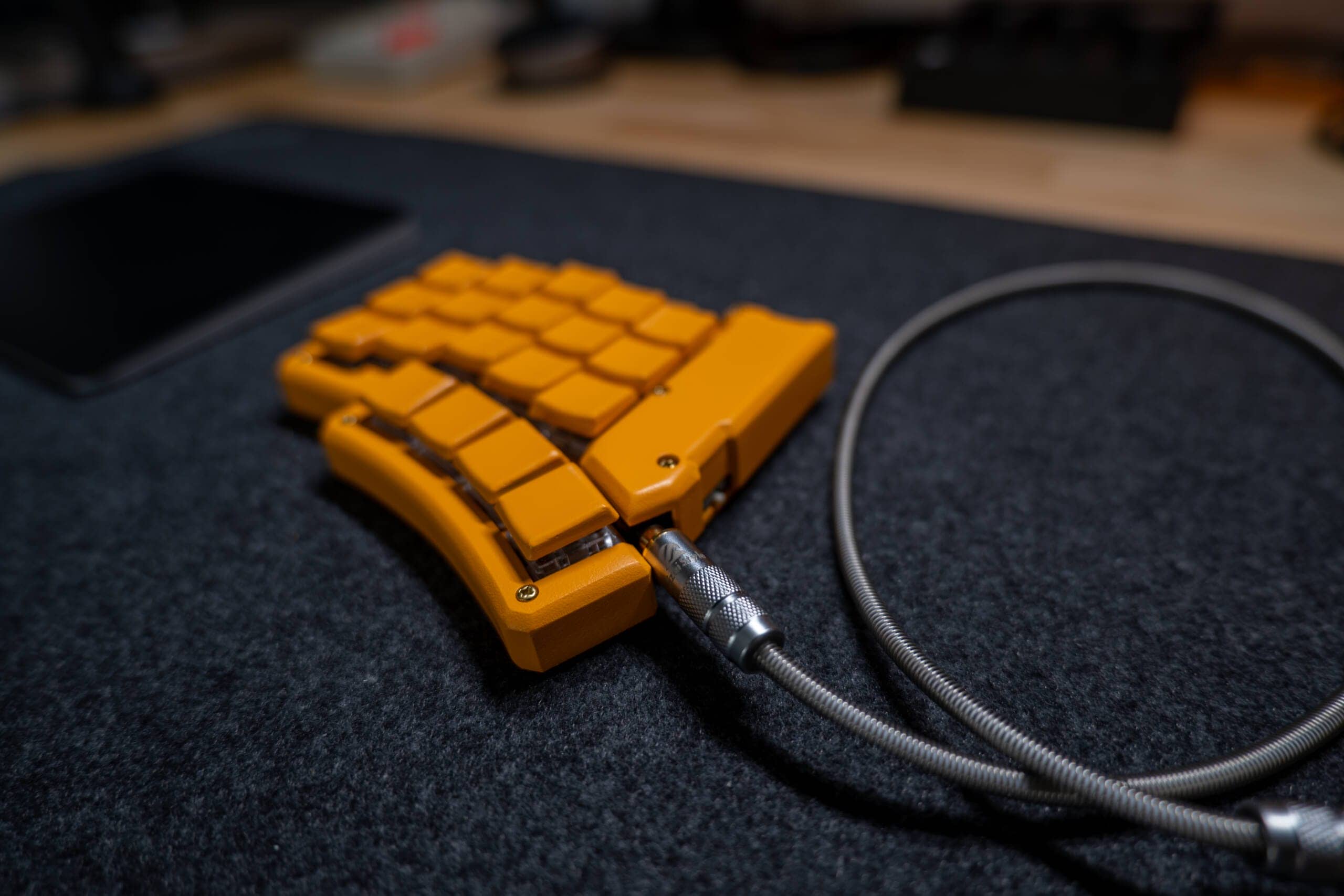 20250203 SDIM0615 scaled