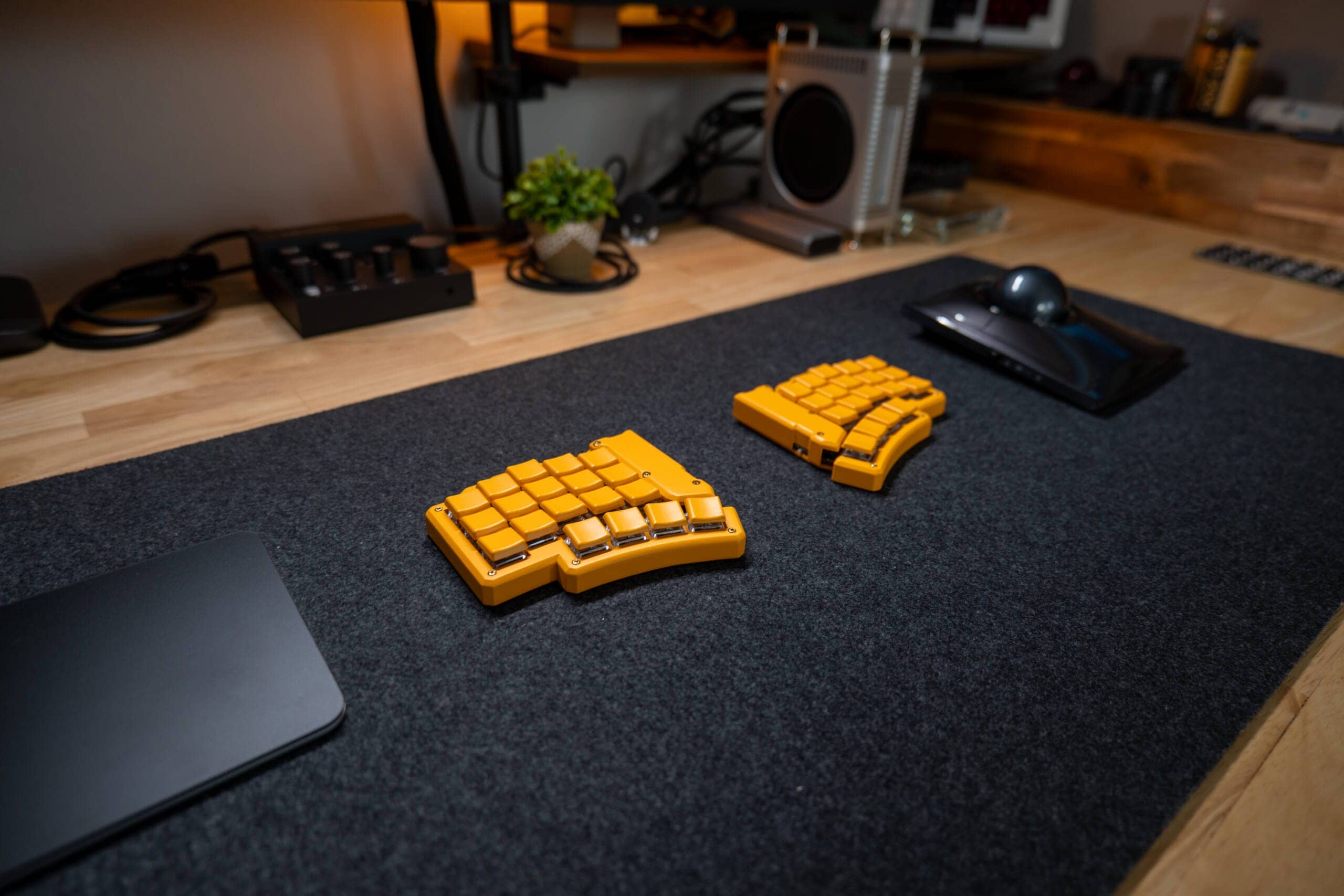 20250203 SDIM0616 scaled