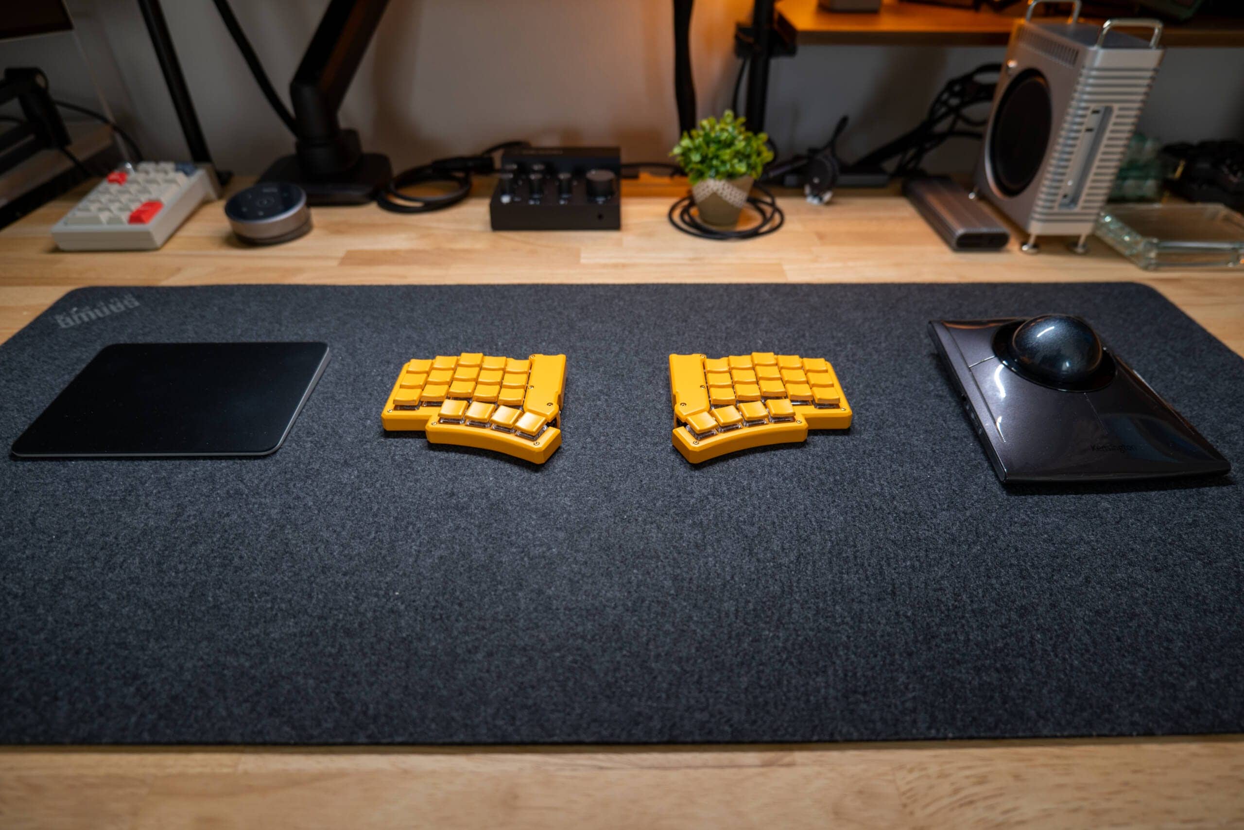 20250203 SDIM0617 scaled