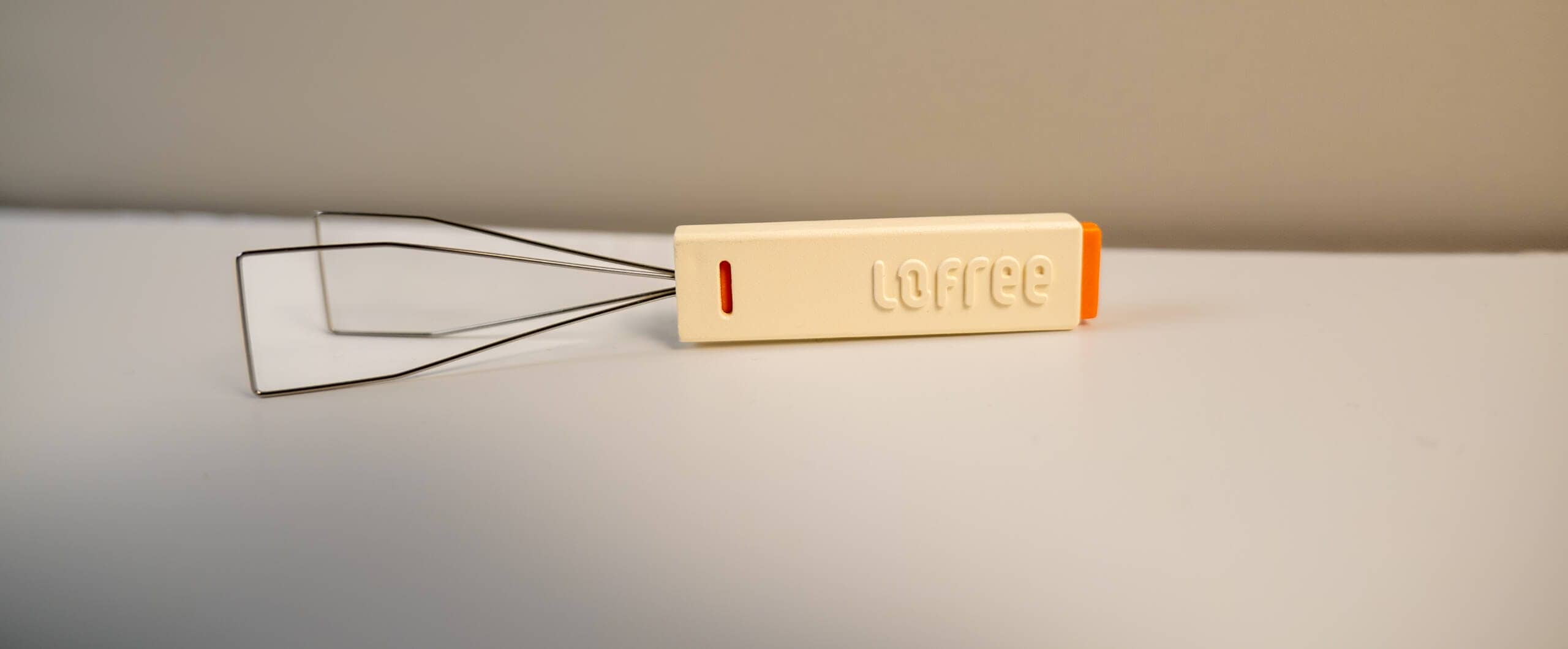 20250206 SDIM0639 scaled