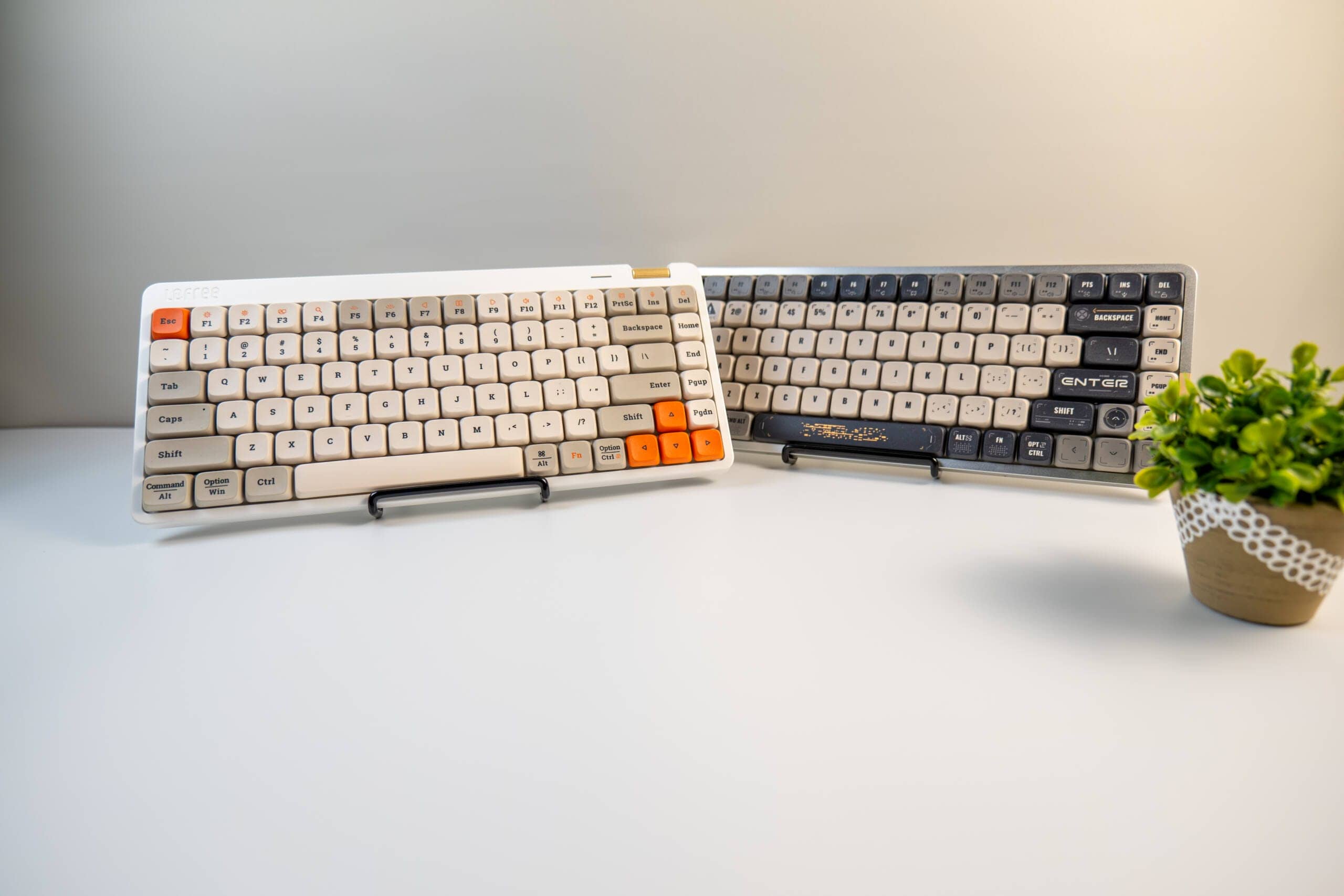 20250206 SDIM0644 scaled