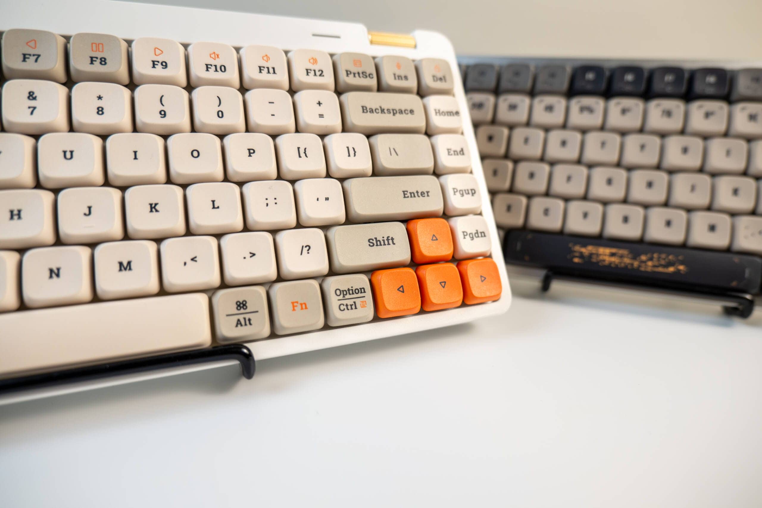 20250206 SDIM0647 scaled