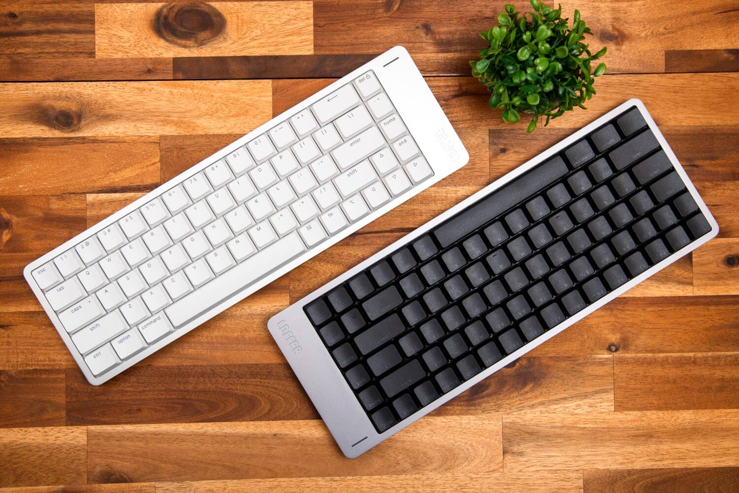 Lofree Flow2徹底レビュー|買う前に知るべき7つのポイント 3 DSC1757