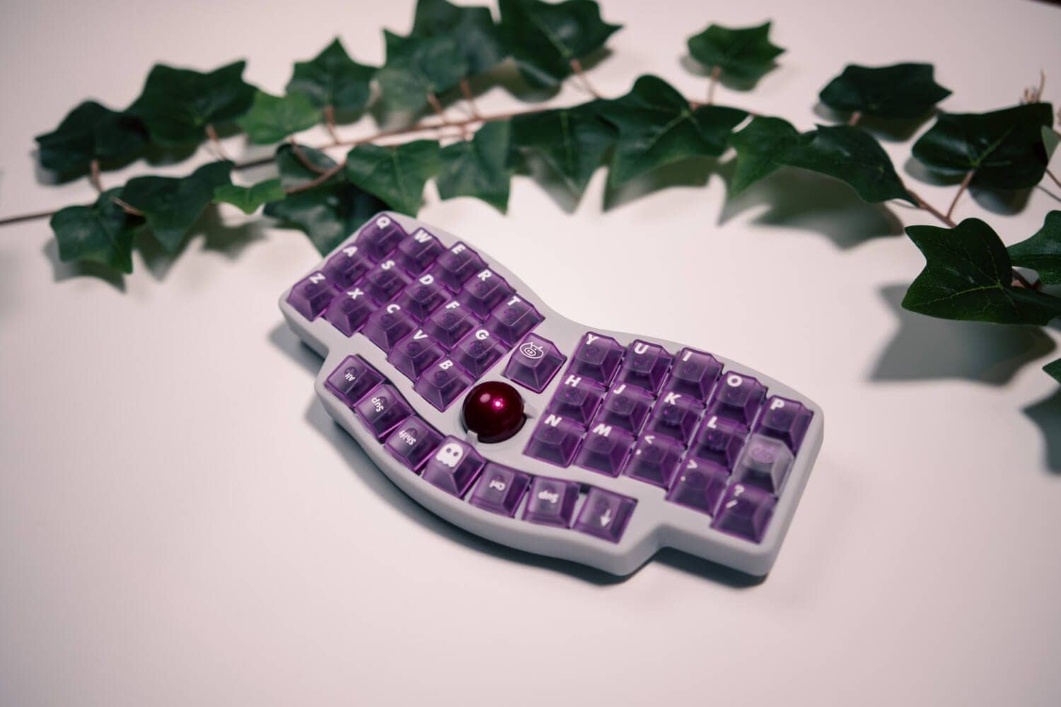 LeleLab Supsup Purple Keycap Setレビュー|鮮やかな紫が美しい透明キーキャップセット 23 DSC1569