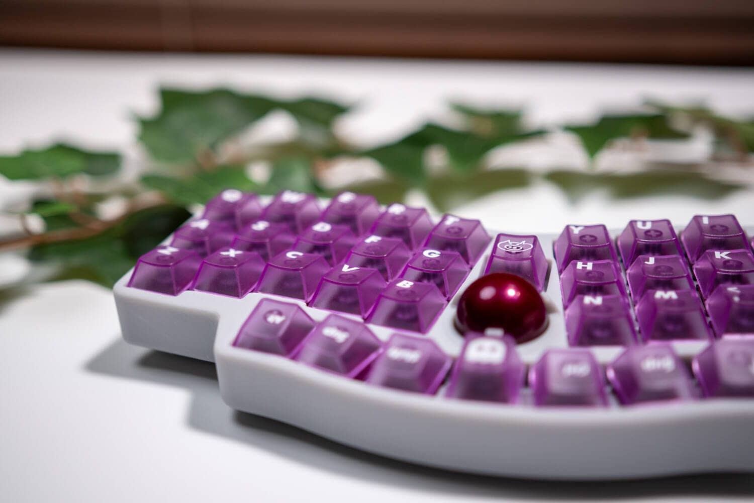 LeleLab Supsup Purple Keycap Set Review|Beautiful transparent keycap set in bright purple 22 DSC1575