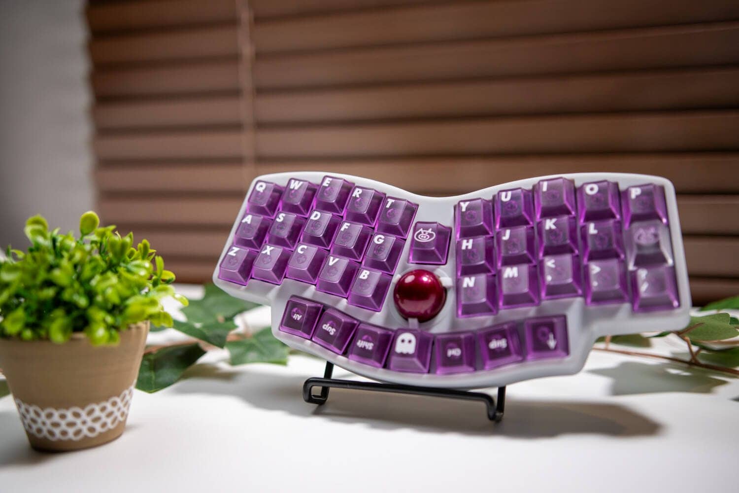LeleLab Supsup Purple Keycap Set Review|Beautiful transparent keycap set in bright purple 26 DSC1578